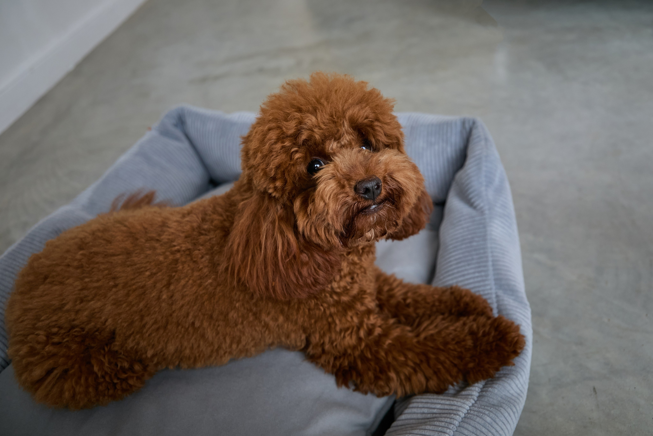 Контент съёмка. Главная