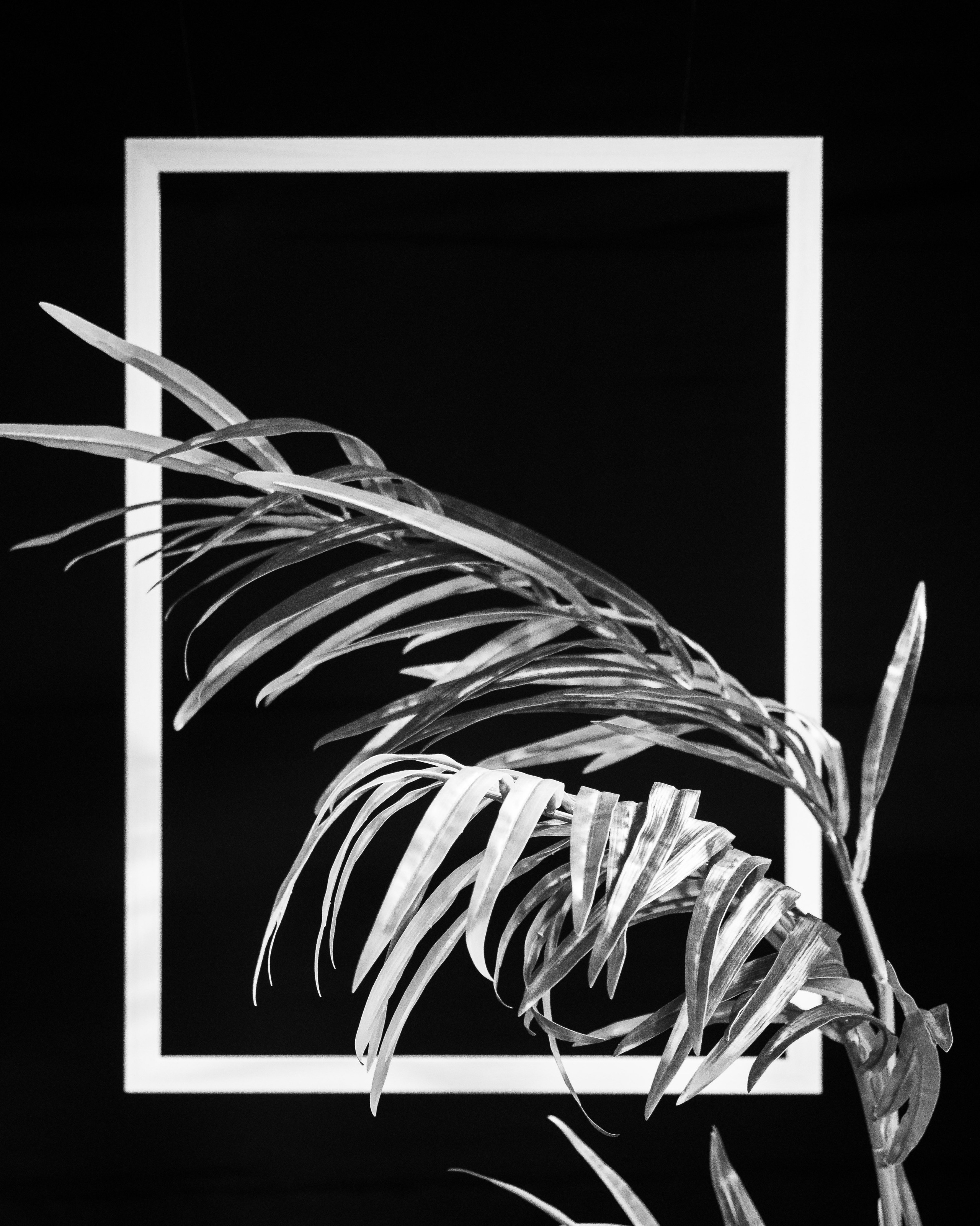 Avito недвижимость. Портретный и Репортажный фотограф в Москве