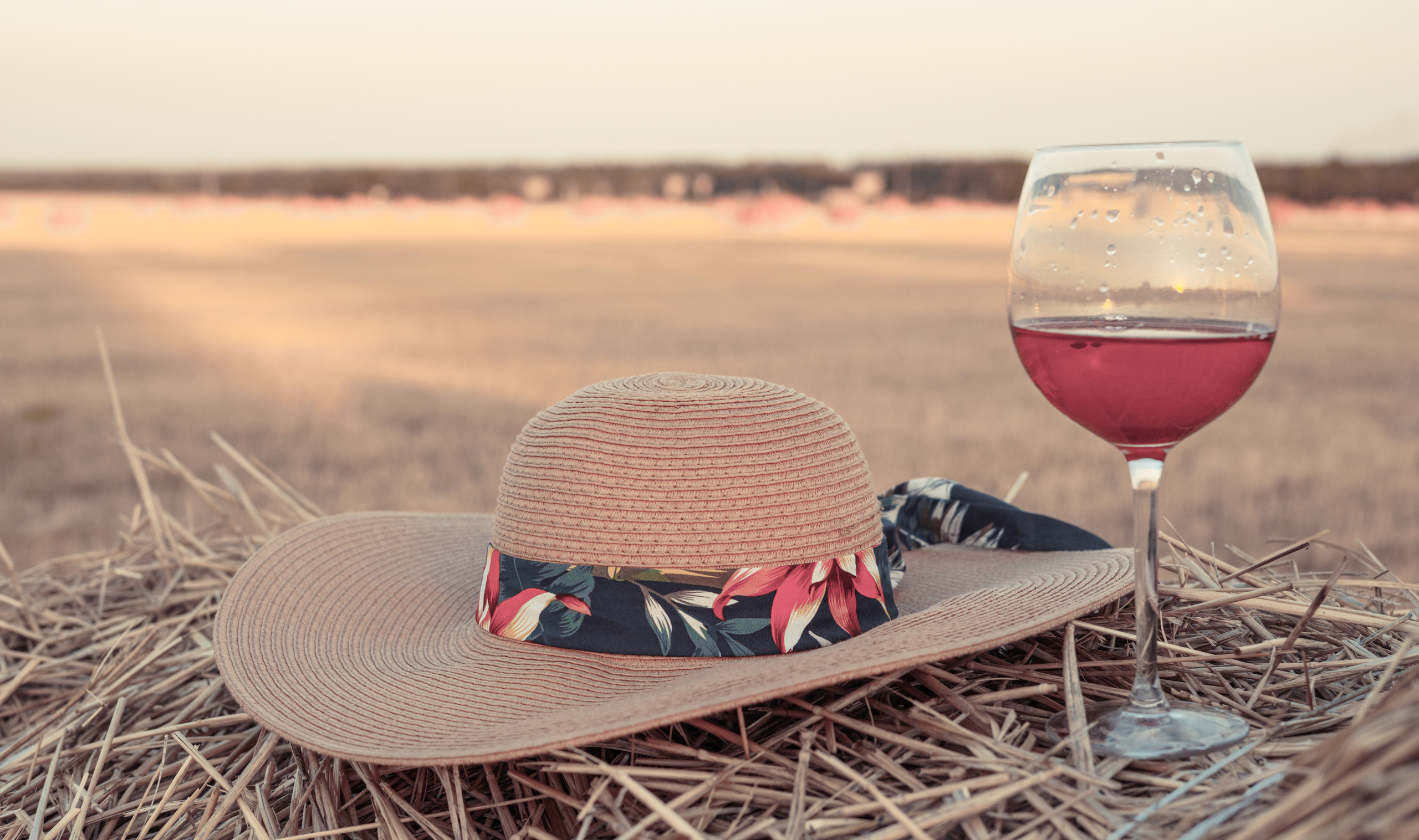 Умиротворение полей. Семейный и детский фотограф Ростов-на-Дону Кылосова Елена