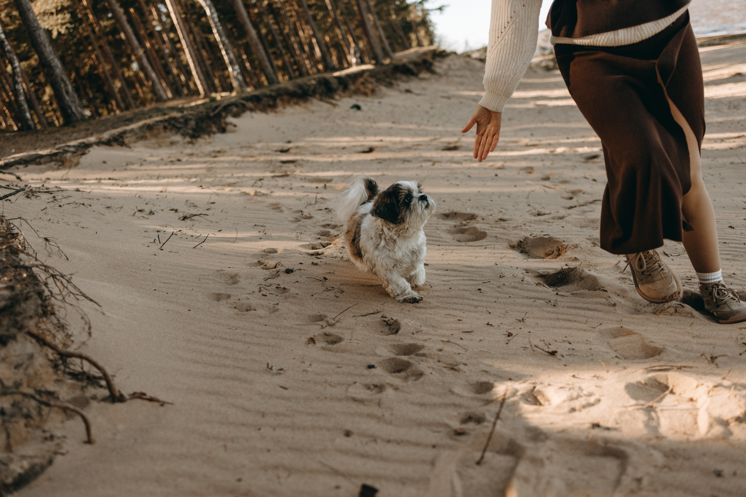 Настя и Франт. Фотограф — Анималист | Санкт-Петербург