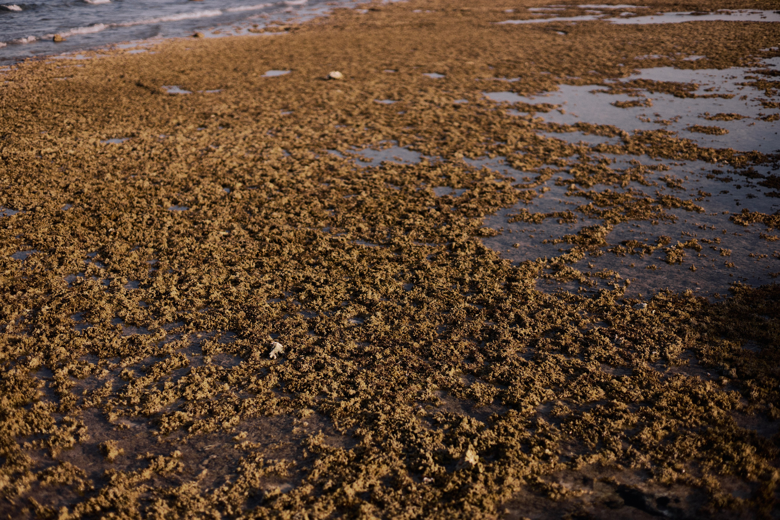 Другое 3. Jorgis Talè — photographer, kind person, teacher of arts and other mag