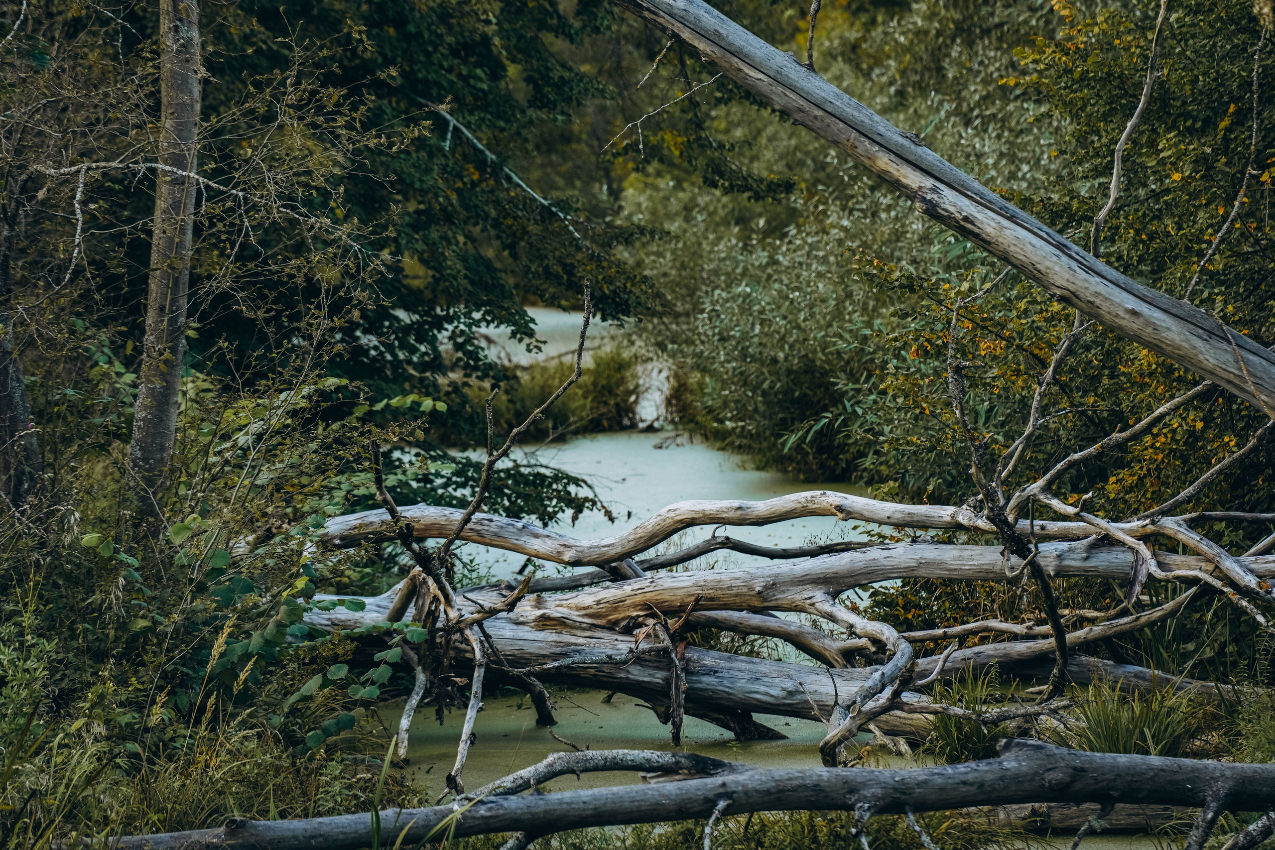 СЕВЕР. Event фотограф Степанова Александра