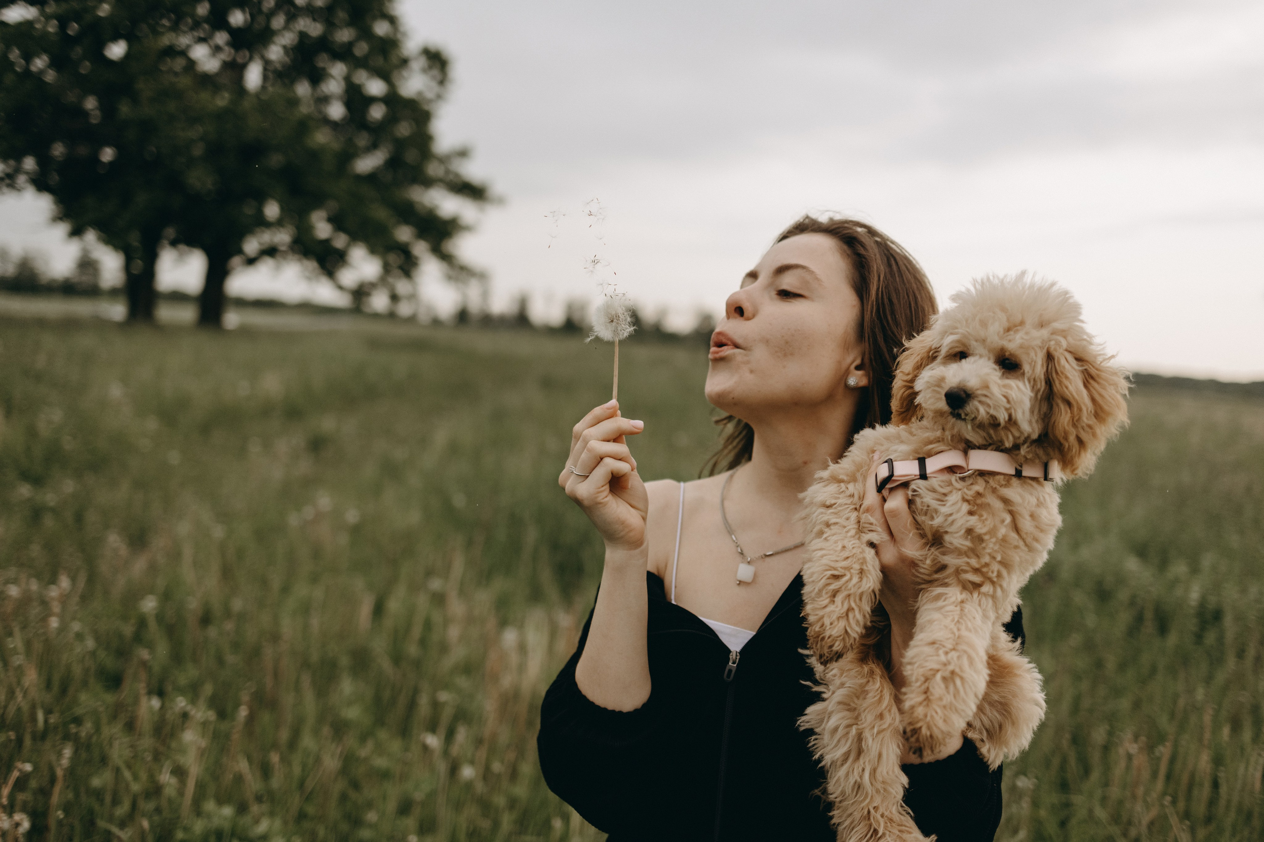 Мия и ее семья. Фотограф — Анималист | Санкт-Петербург