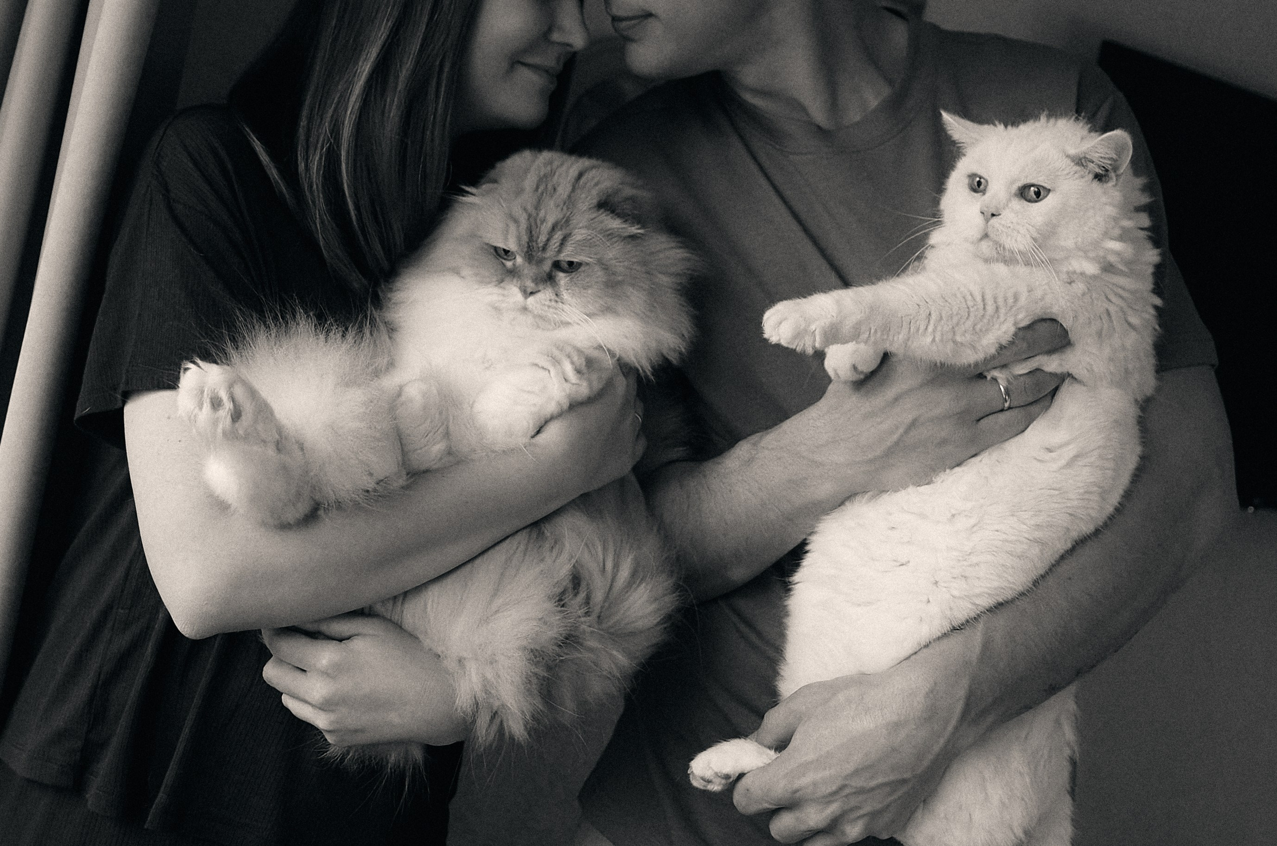 Алексей и Юлия. Наталья Севрук — фотограф во Владимире