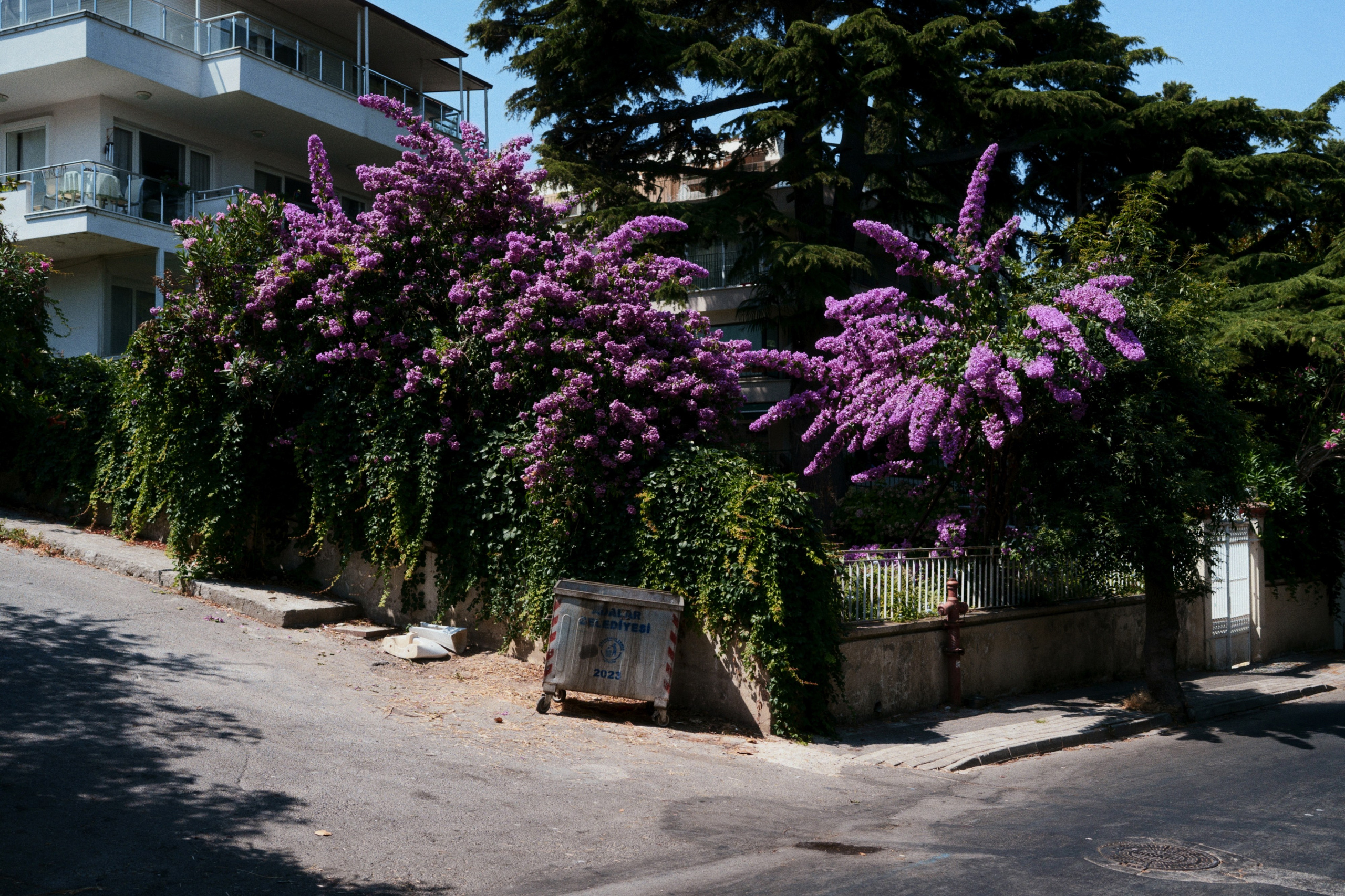 Büyükada х Heybeliada, Istanbul / Türkey SS25. Фотограф Юрин Евгений