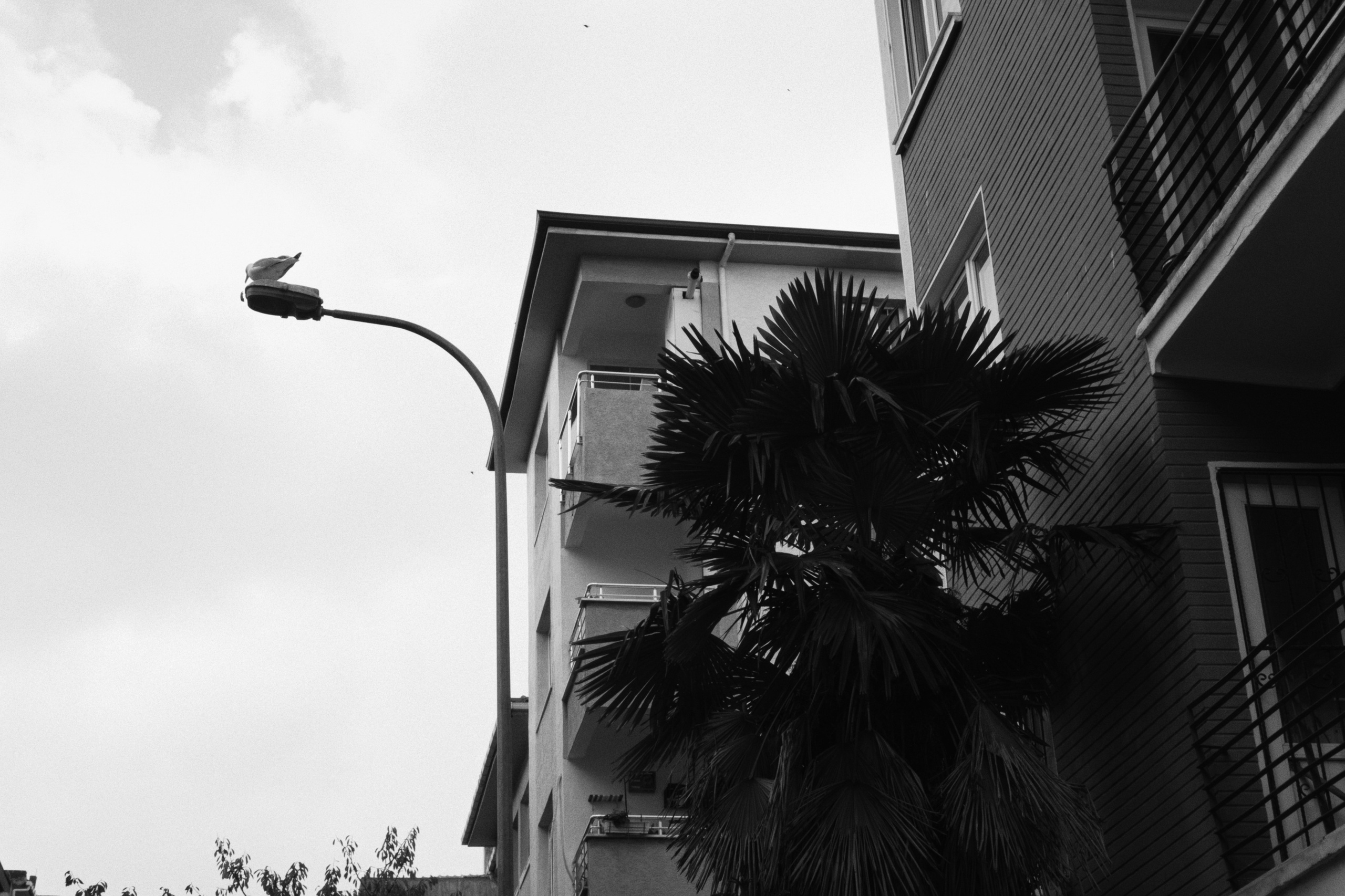 Kadikoy x Moda, Istanbul / Türkey AW25. Фотограф Юрин Евгений