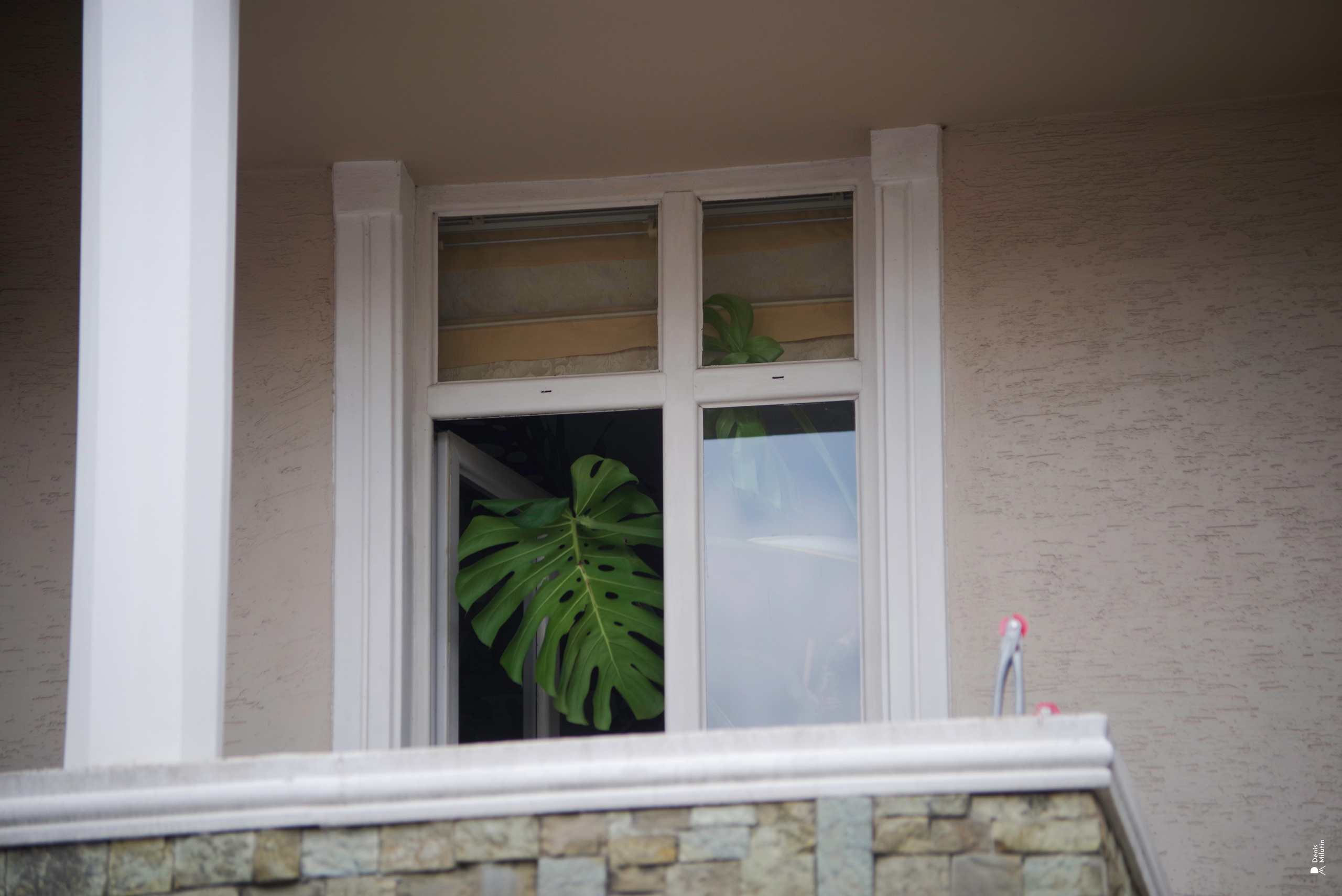 В отпуске с Артёмом. Портретный фотограф Денис Милютин