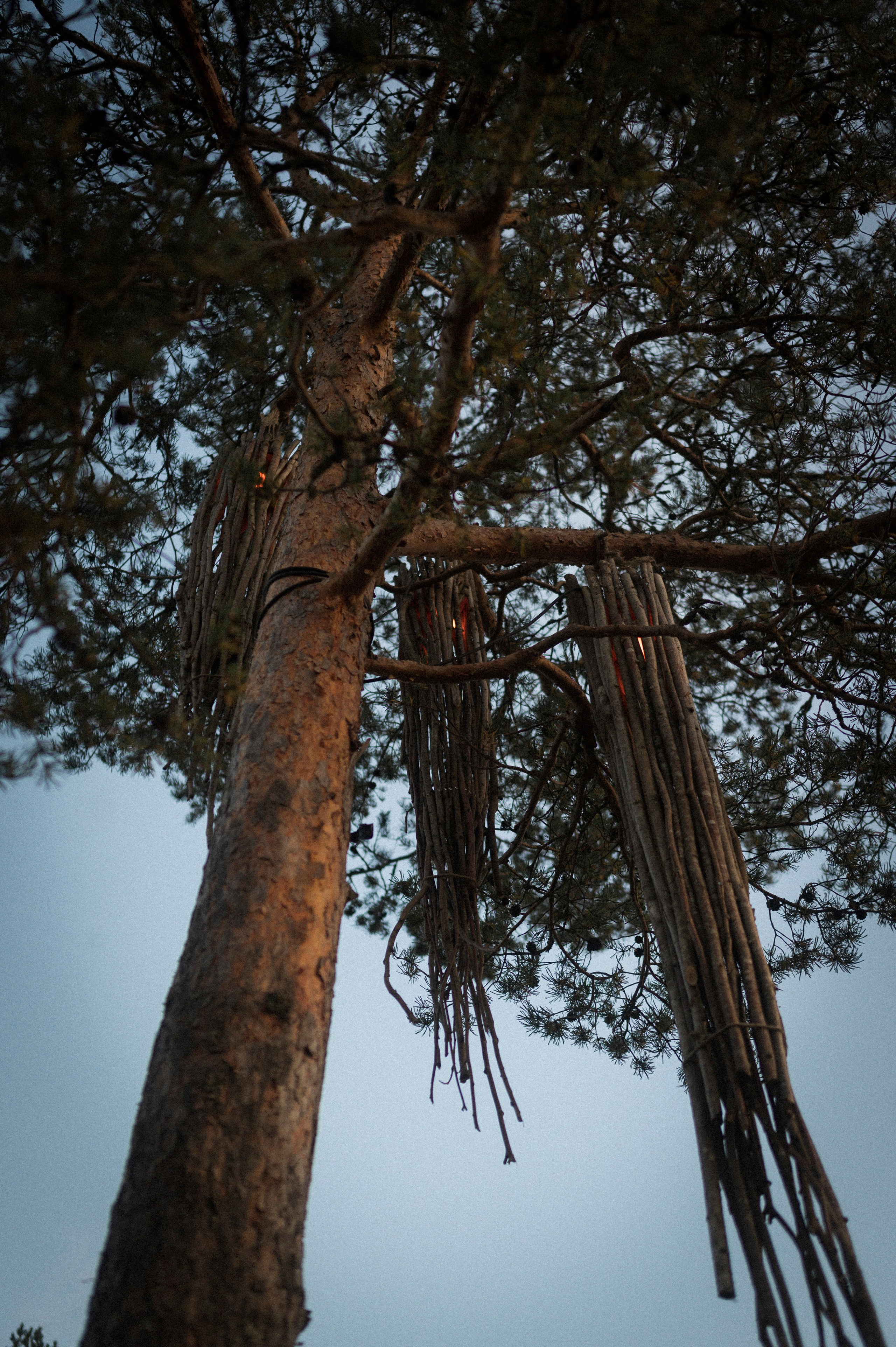 North 2024. Kartascheff