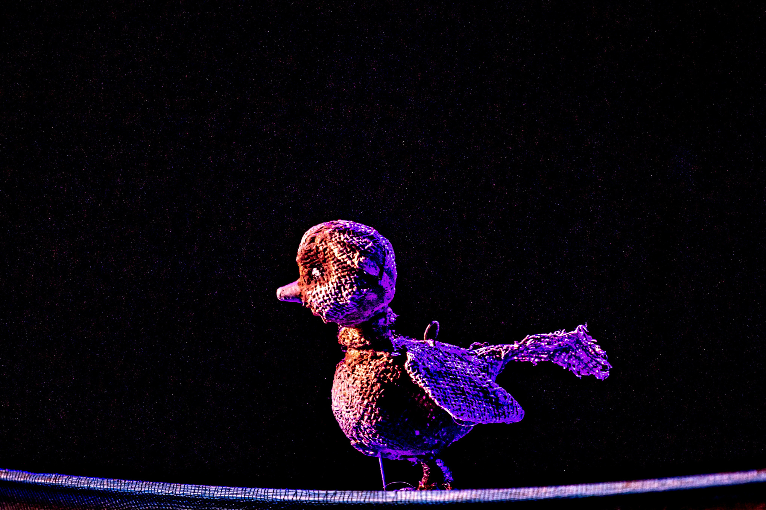 Тараканище спектакль кукольного театра Саквояж — премьера. Фотограф в Сочи Юрий Шептаев