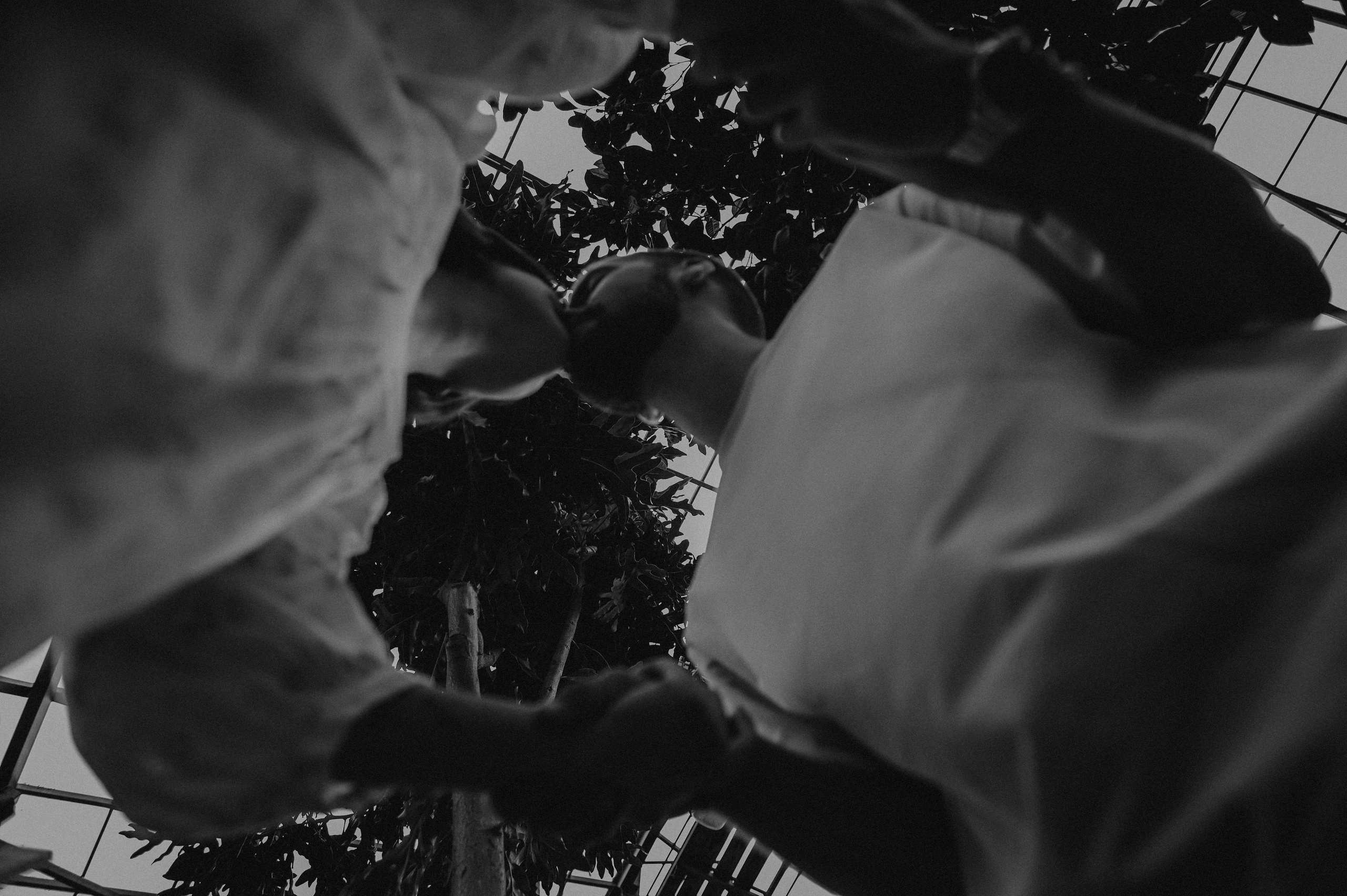 Дима и Наташа. Свадебный, портретный, фотограф беременности в Нижнем Новгороде Алина Зиновьева