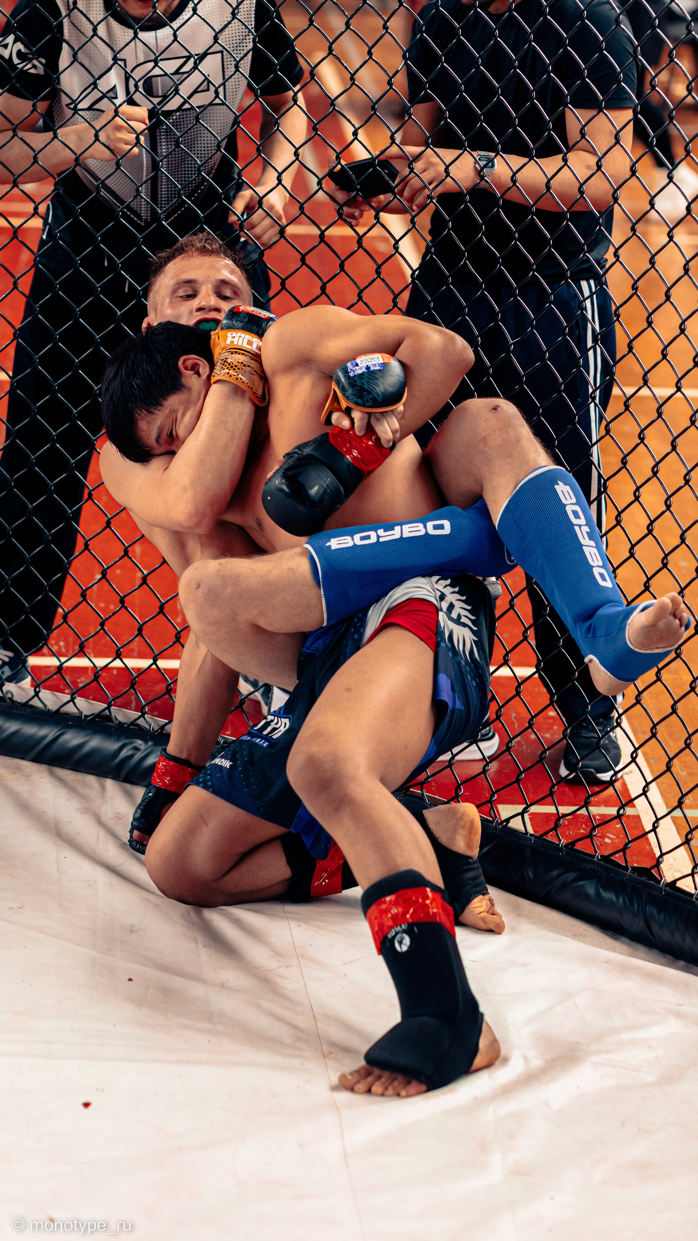 MMA. Бойцовский турнир