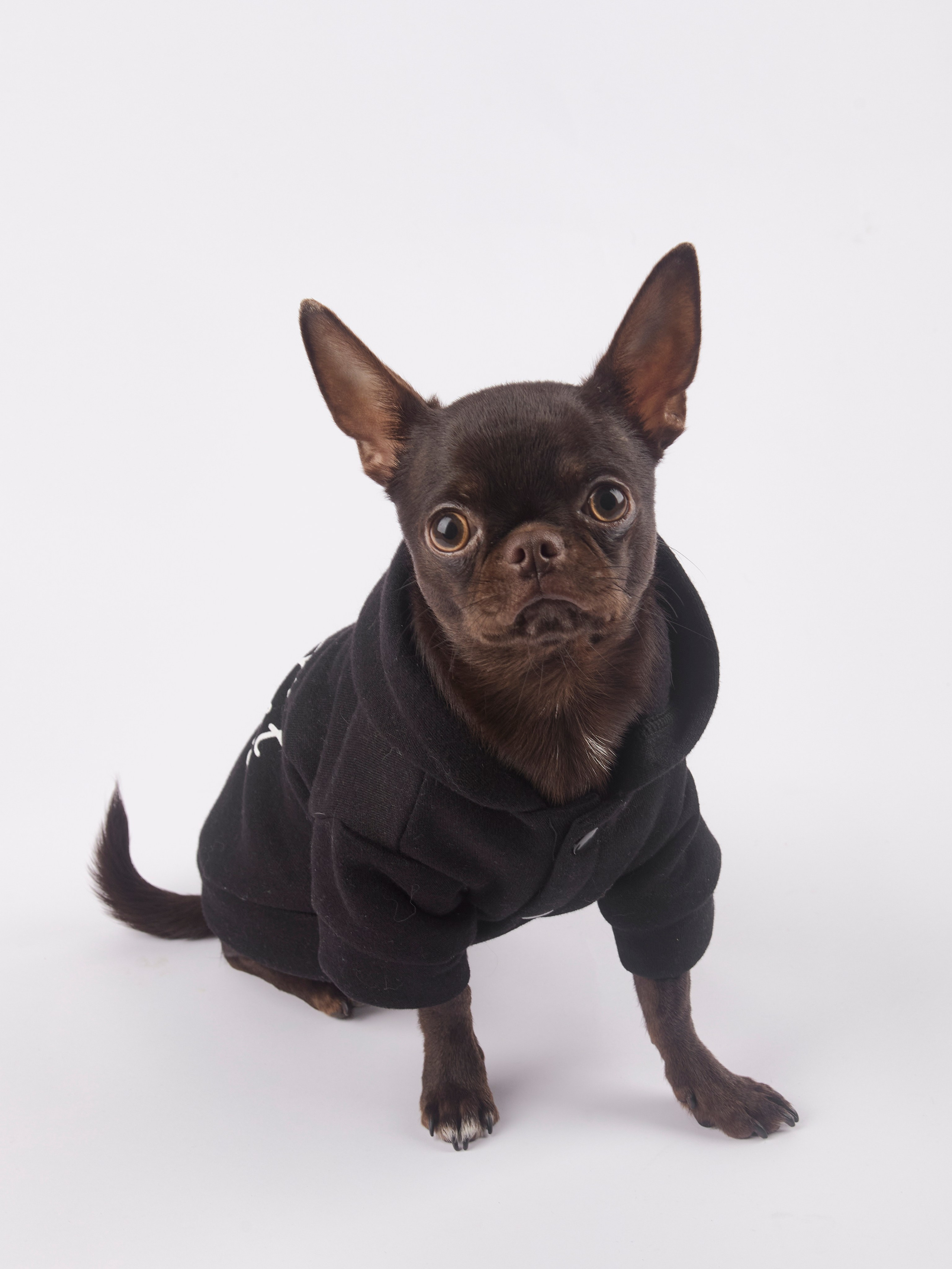 Чих Шпрот. Предметный и семейный фотограф в Санкт-Петербурге Катерина Стеклова