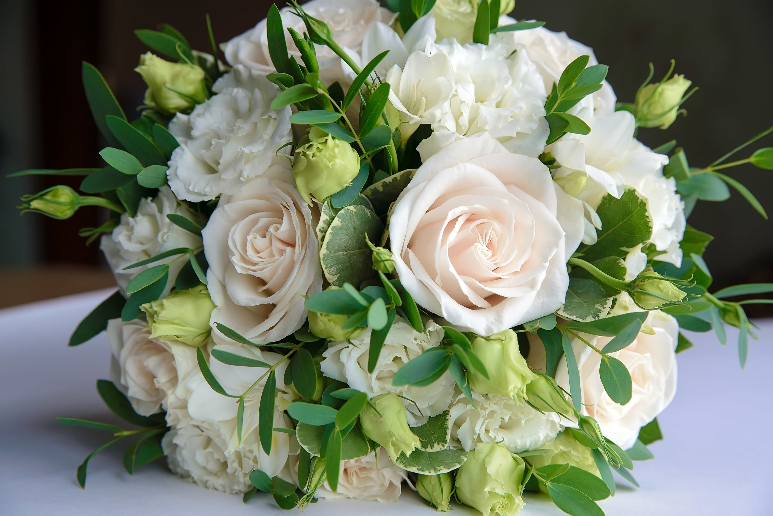 В Кемерово. Фотограф, видеооператор Нина Коршунова