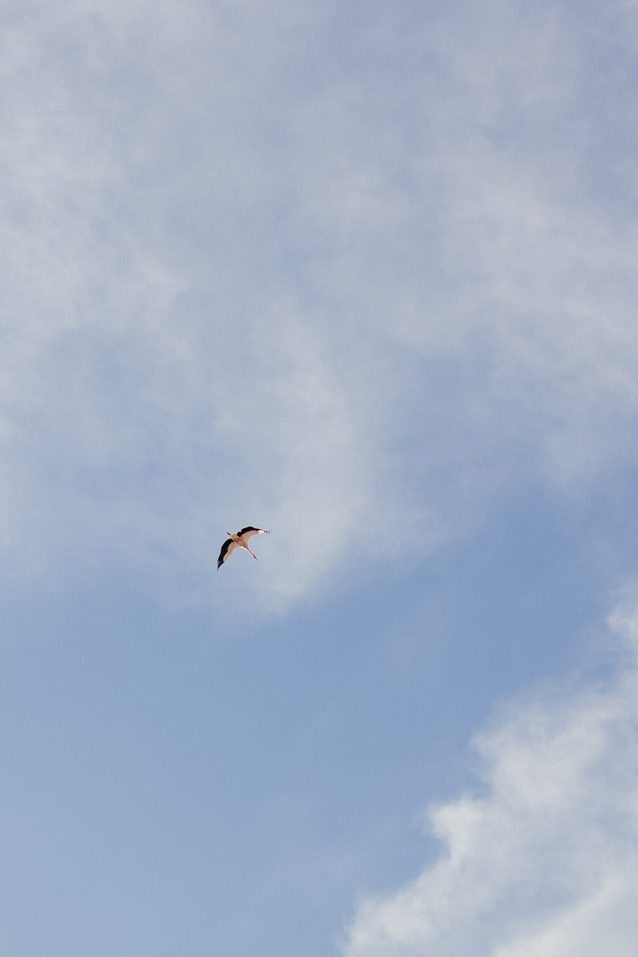 Пустыня. Валентина Удалая — семейный и портретный фотограф в Брянске