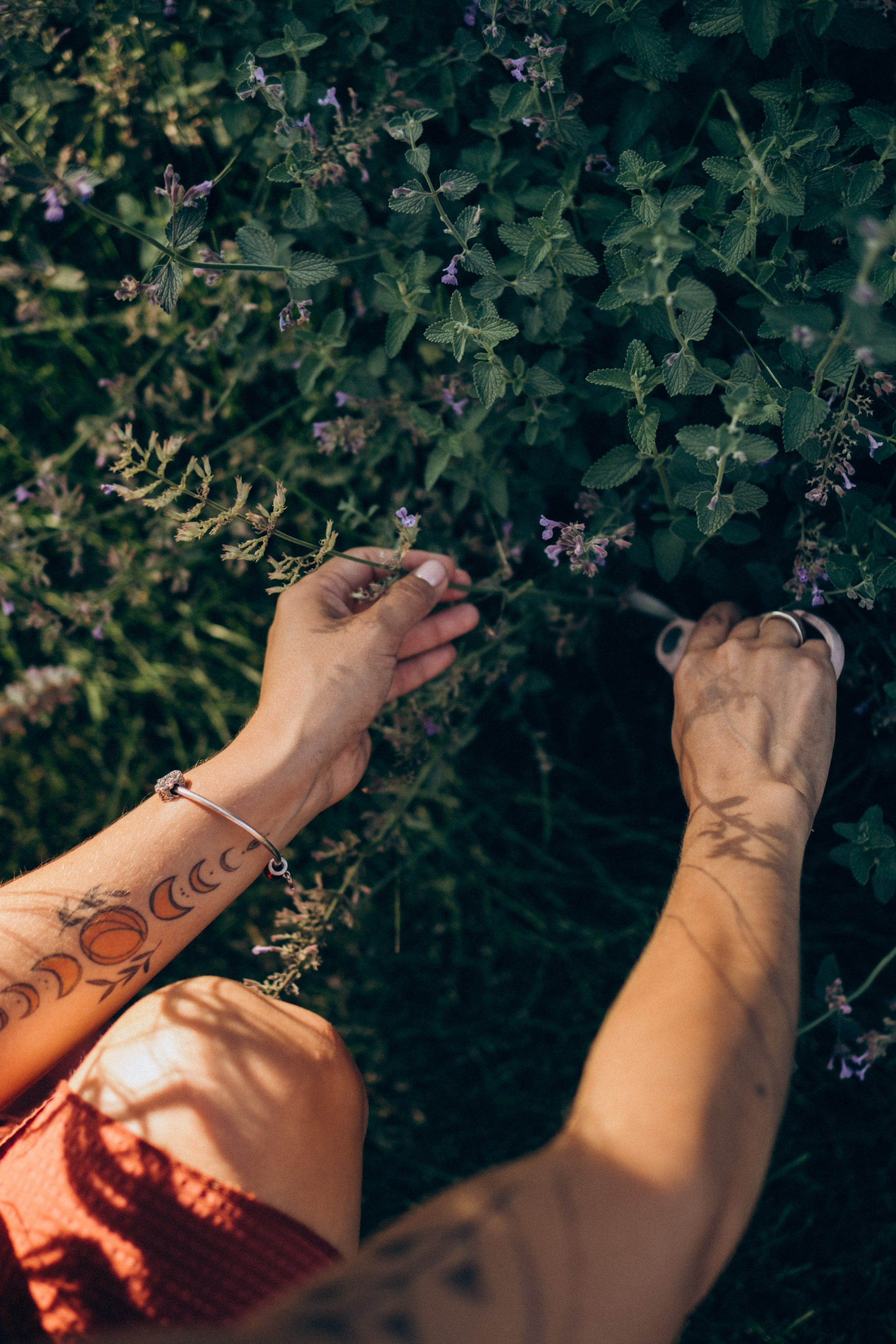 Домашняя. Портретный и семейный фотограф в Красноярске Смирнова Наталья