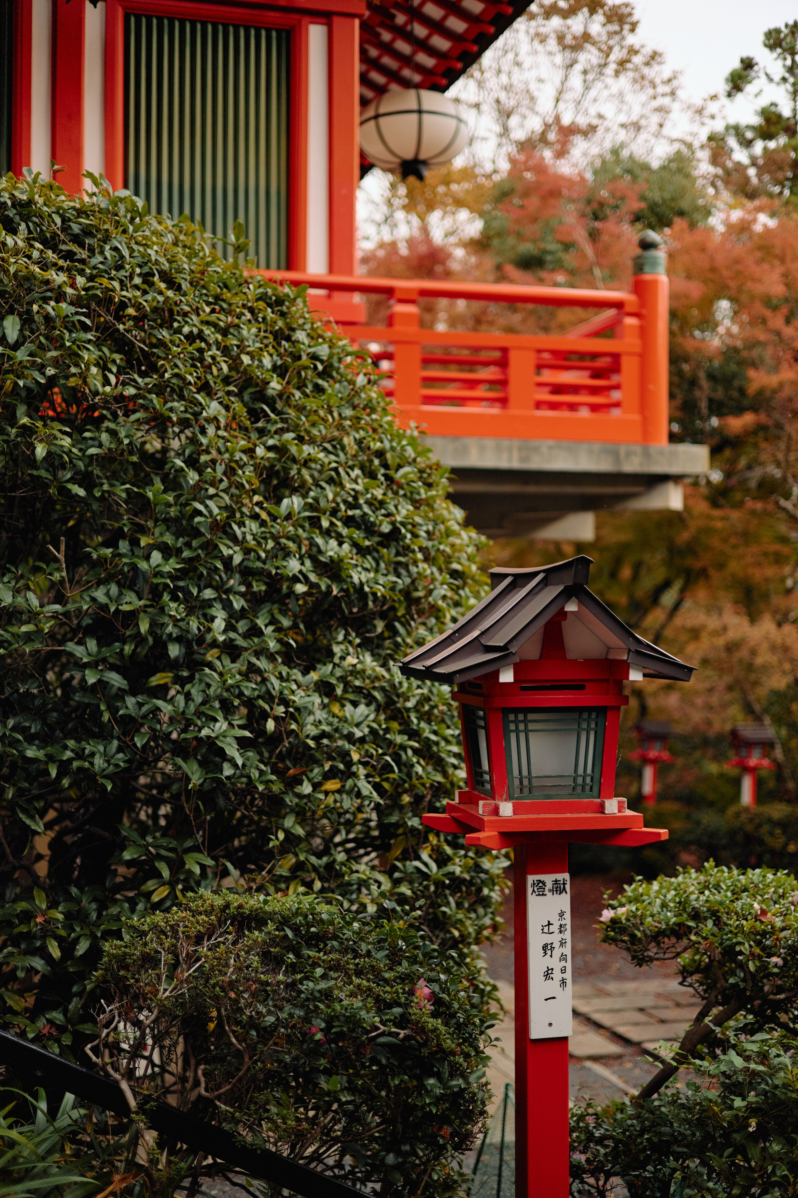 Япония. Профессиональный Фотограф во Владимире, в Москве и в Суздале — Полина Романычева