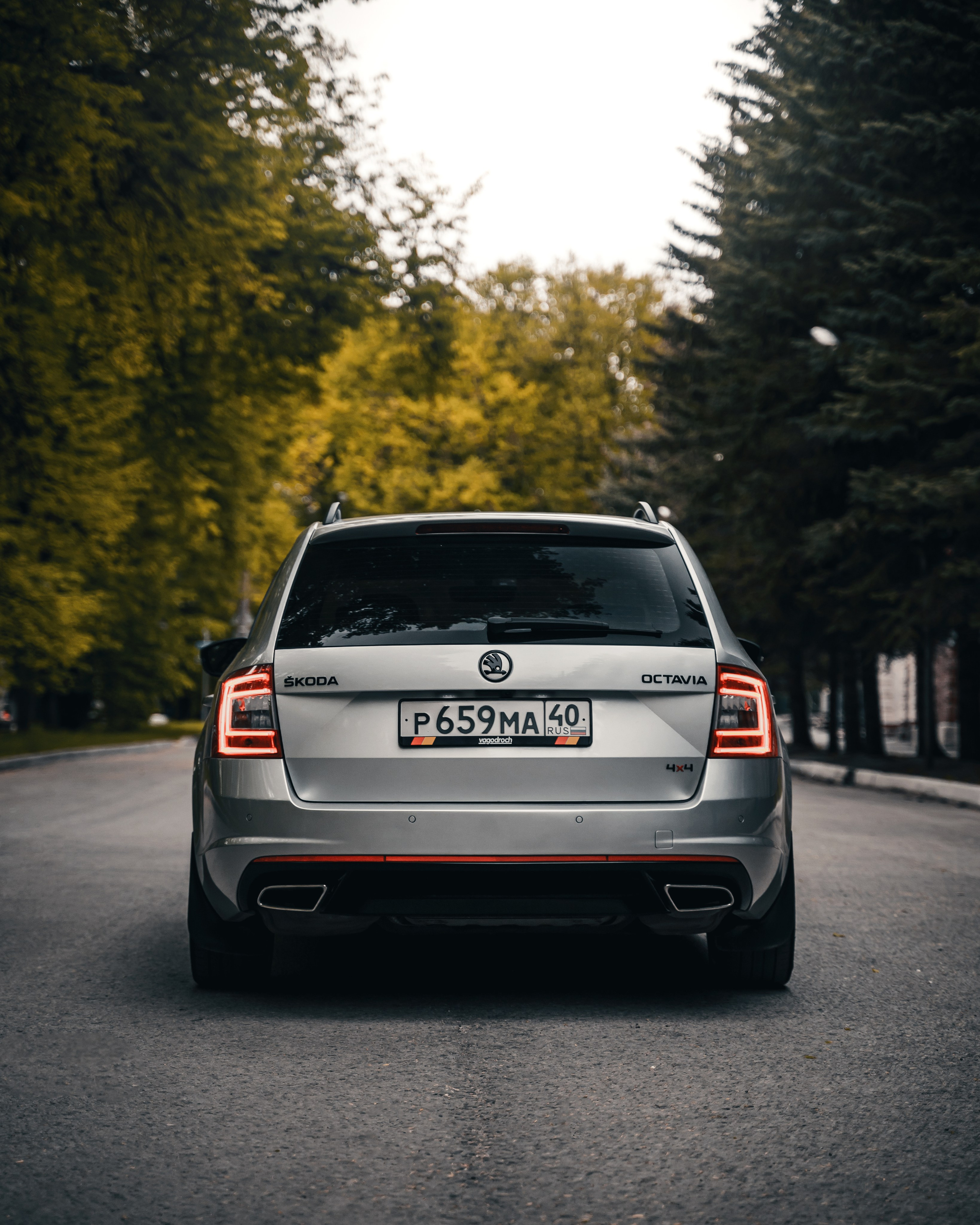 Skoda Octavia A7. Vlad Trykov