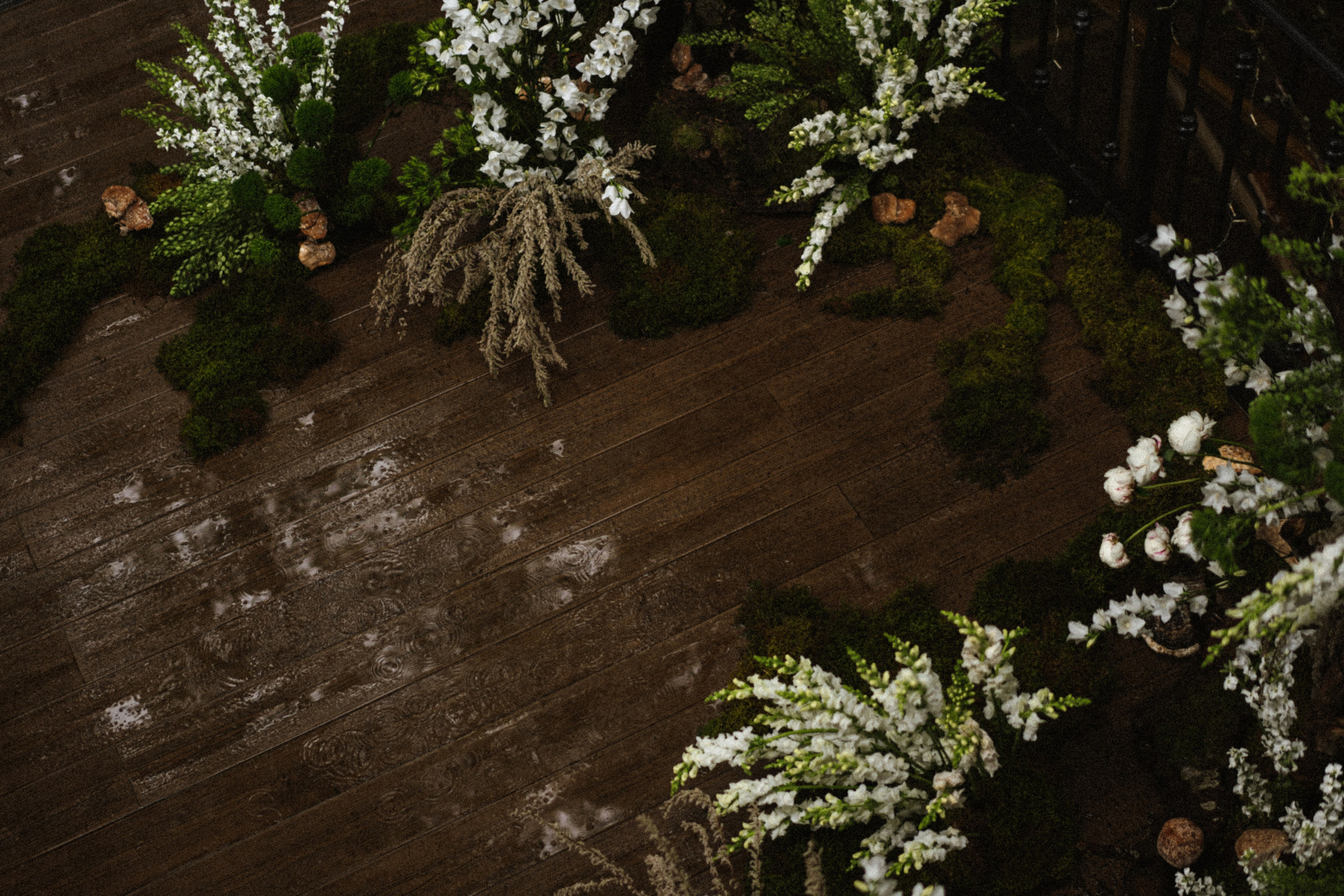 Прячься! Дождь идёт. Сочи. 2024. Никита Погосов