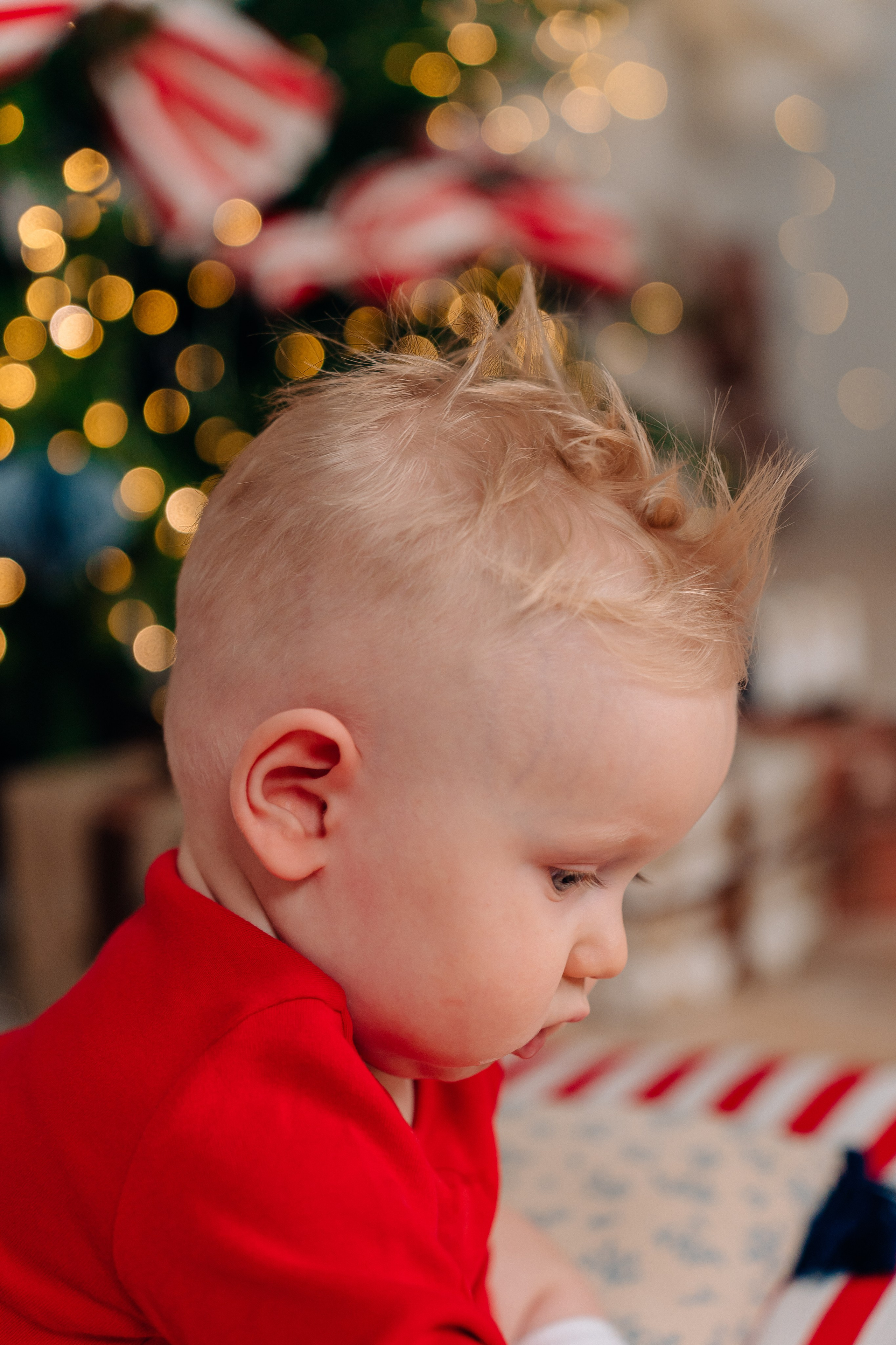 Лента фото. «Лама» Детская фотостудия Уфа