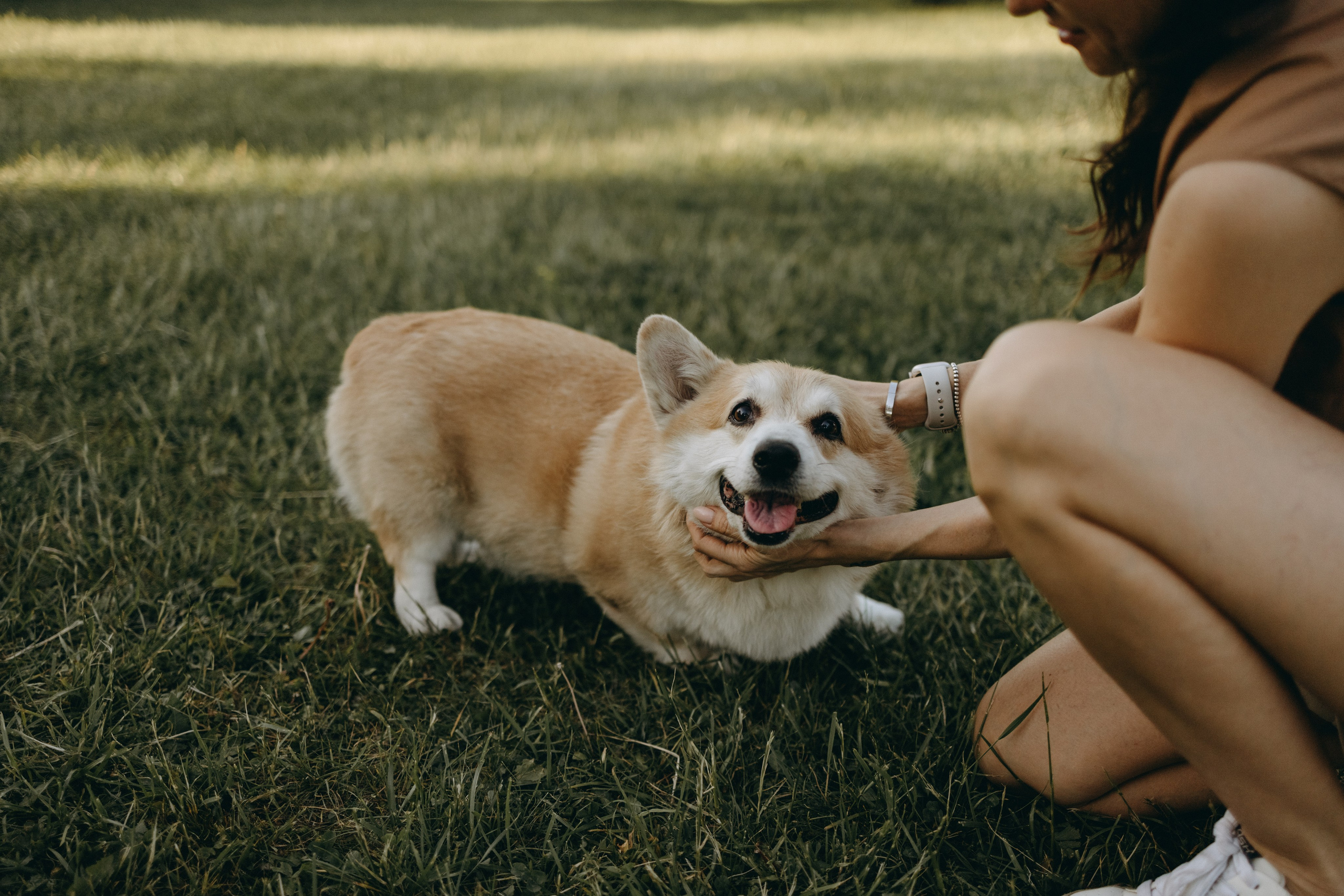 Кристина и Шелби. Фотограф — Анималист | Санкт-Петербург