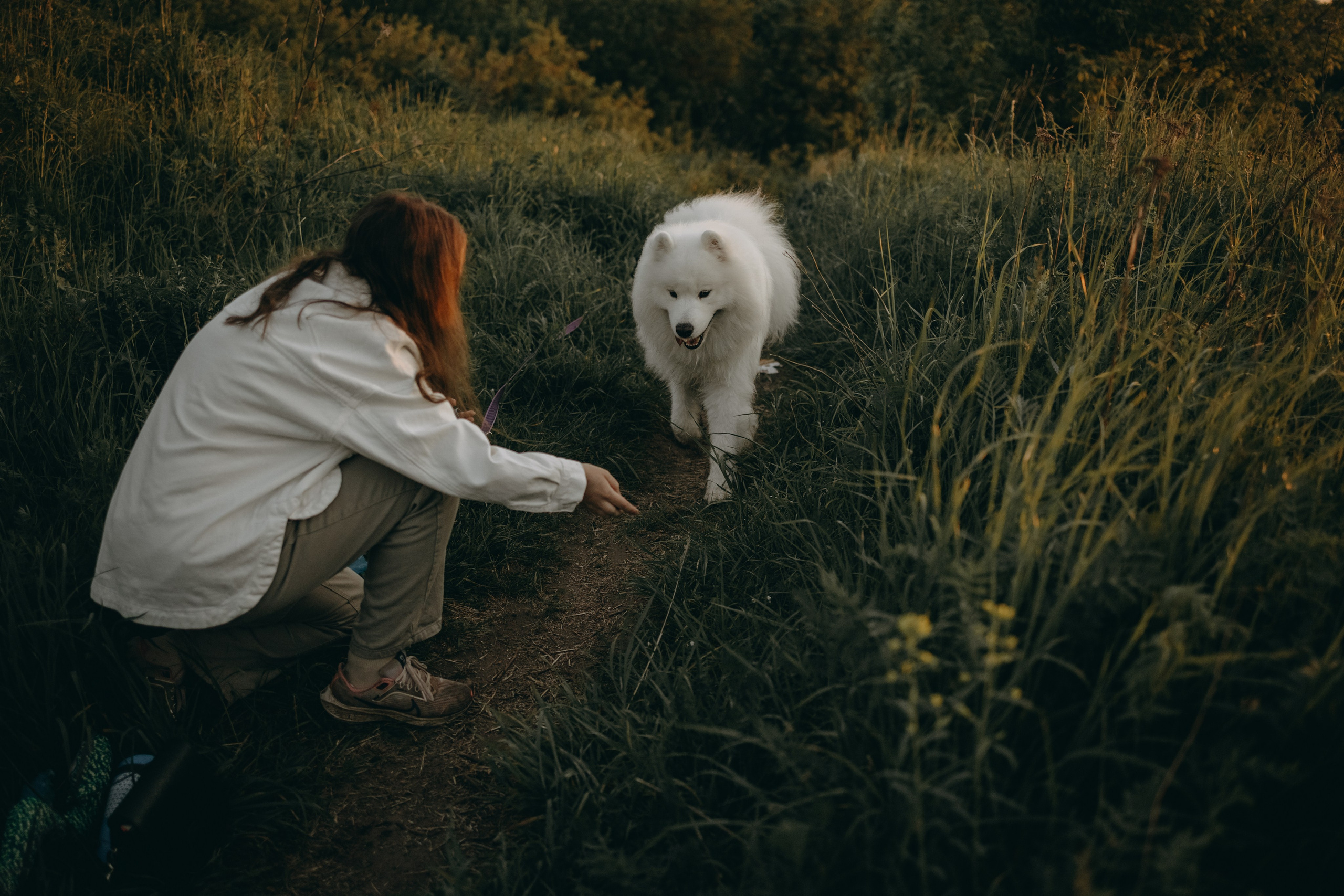 Танго и его семья. Фотограф — Анималист | Санкт-Петербург