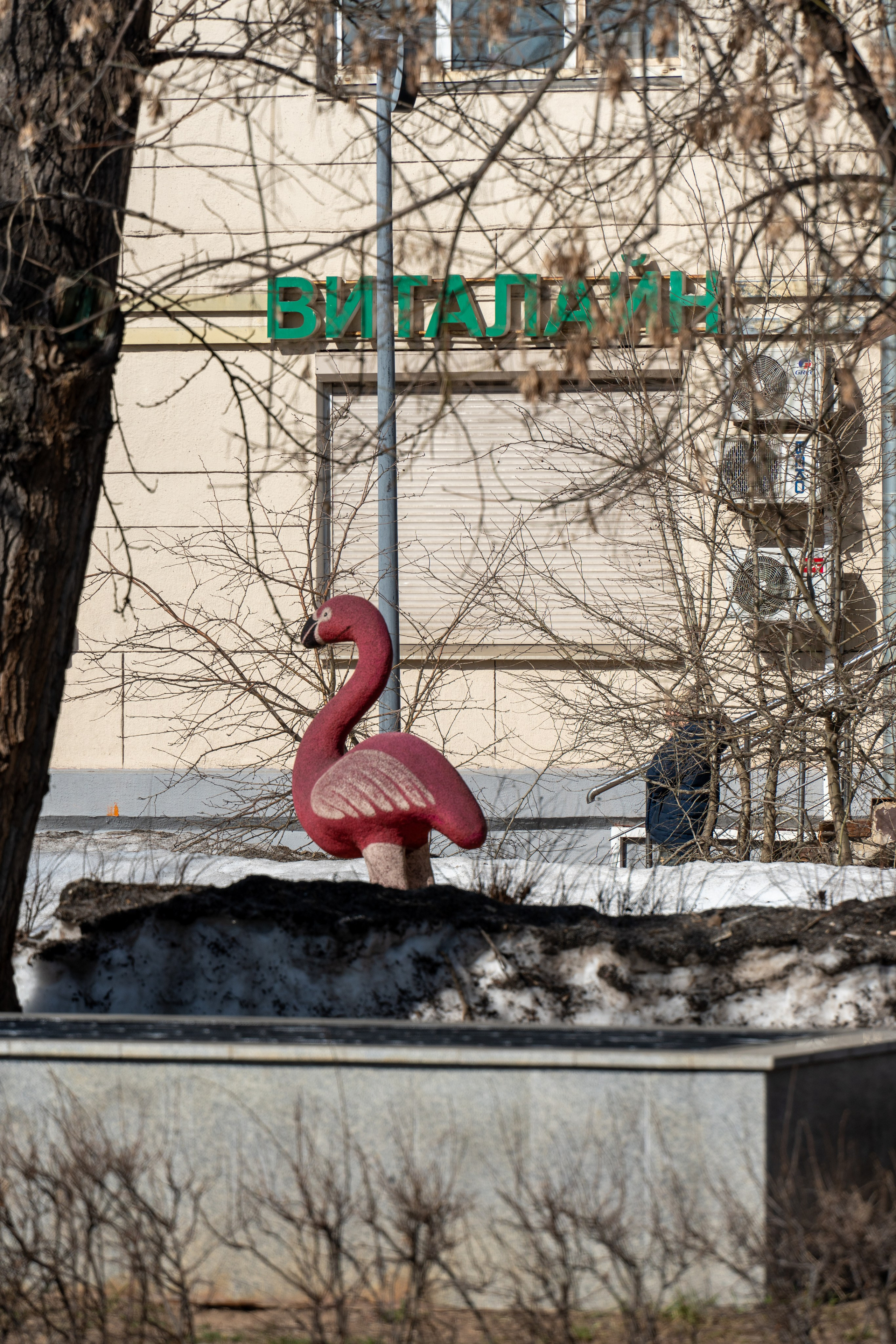 20260322 Киевская — Парк Победы. Дмитрий Ремизов. Фотография, как хобби