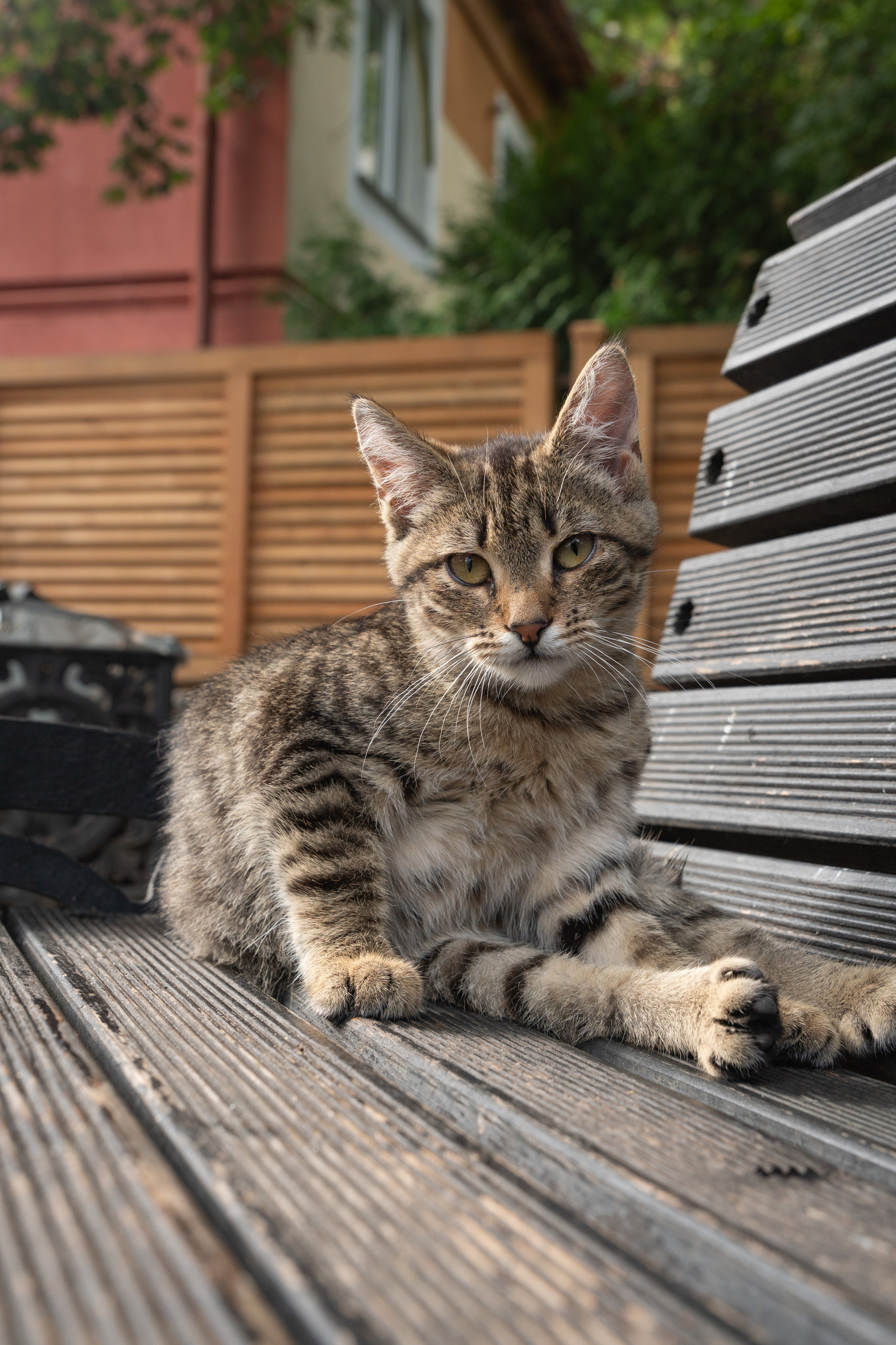 Калининградская область. Gusarov Travel Photography