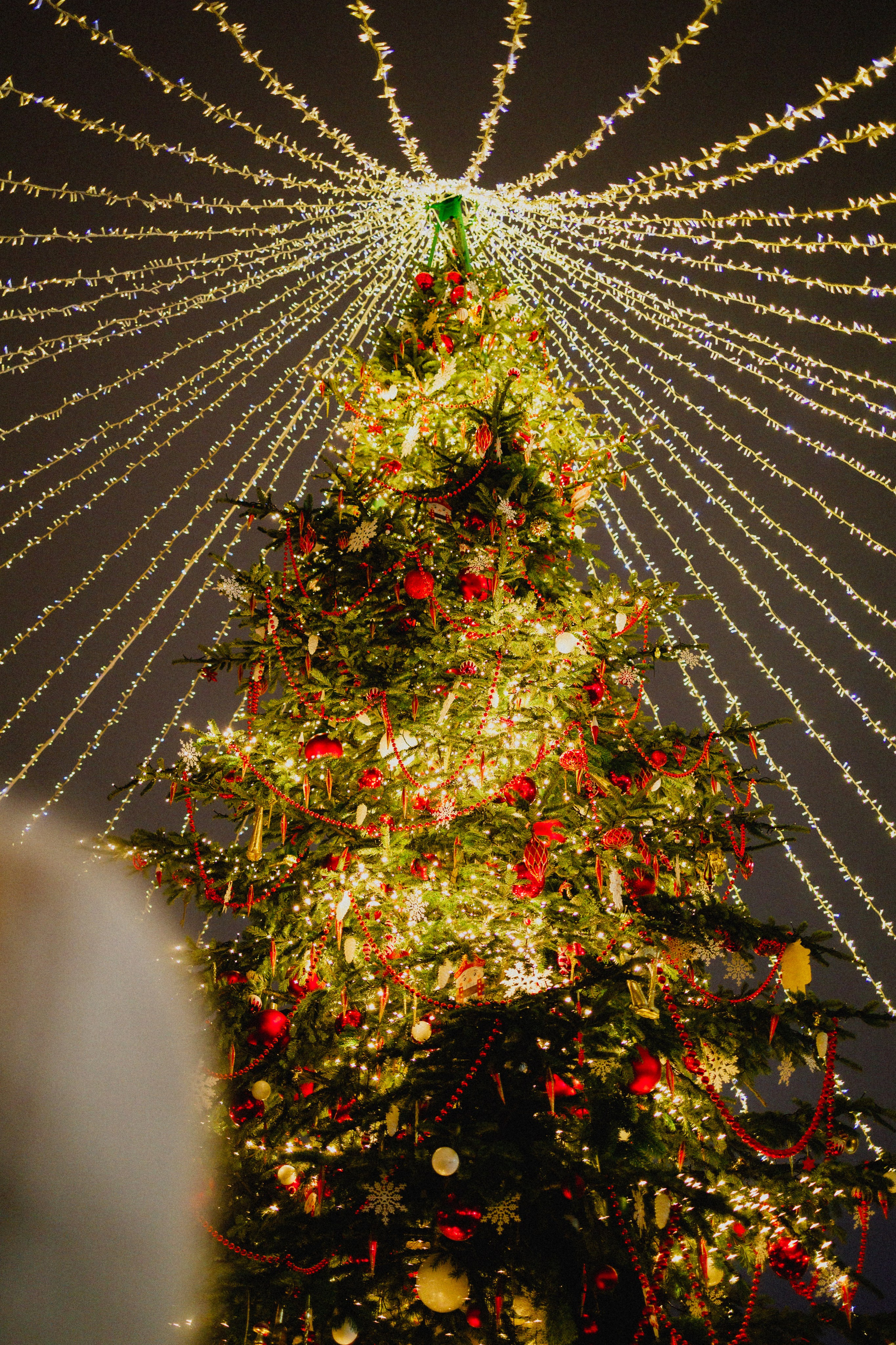 Vibes. Фотограф в Москве, портреты, мероприятия, бренды