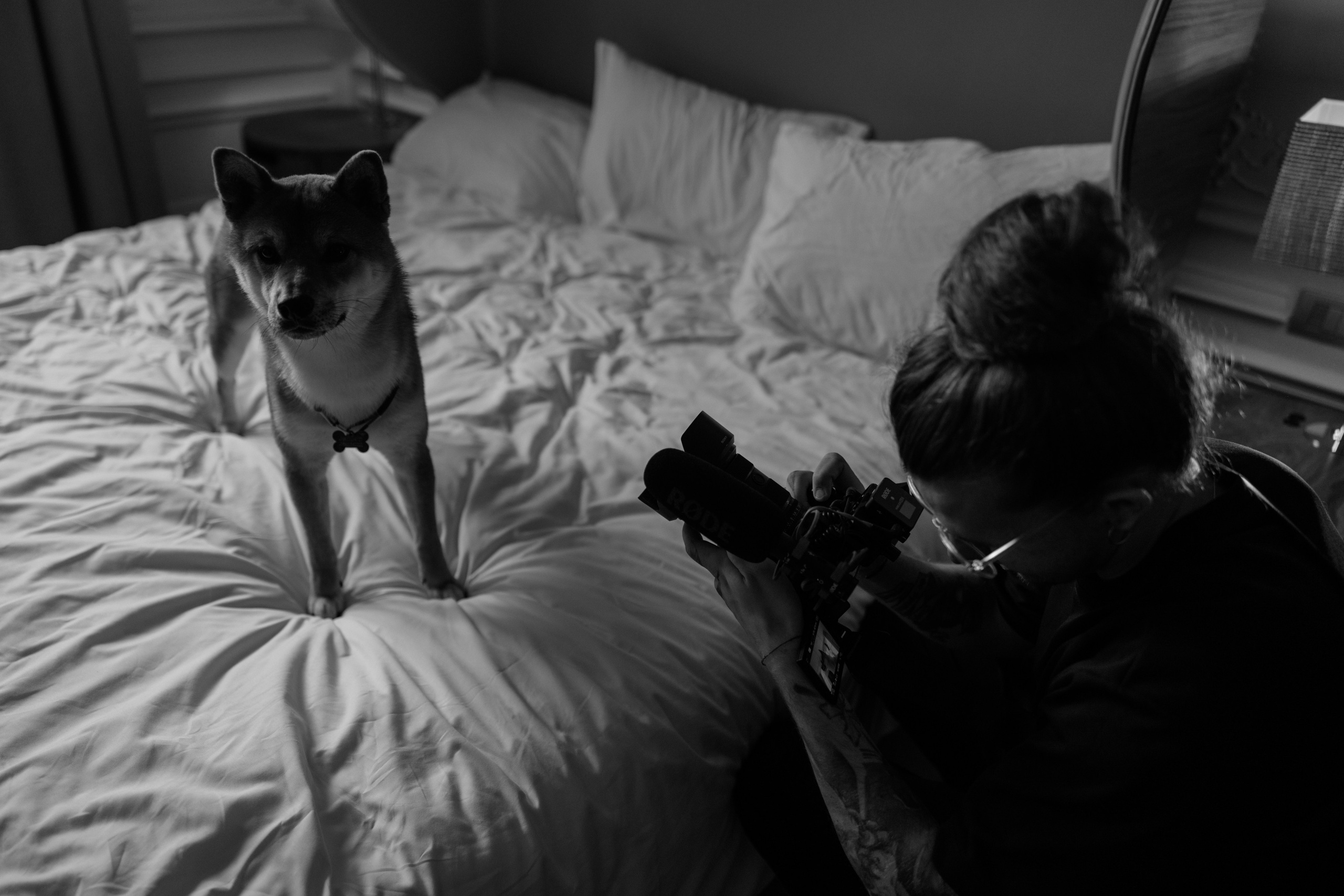 Вероника и Денис. Свадебный фотограф в Санкт-Петербурге Екатерина Евсеева