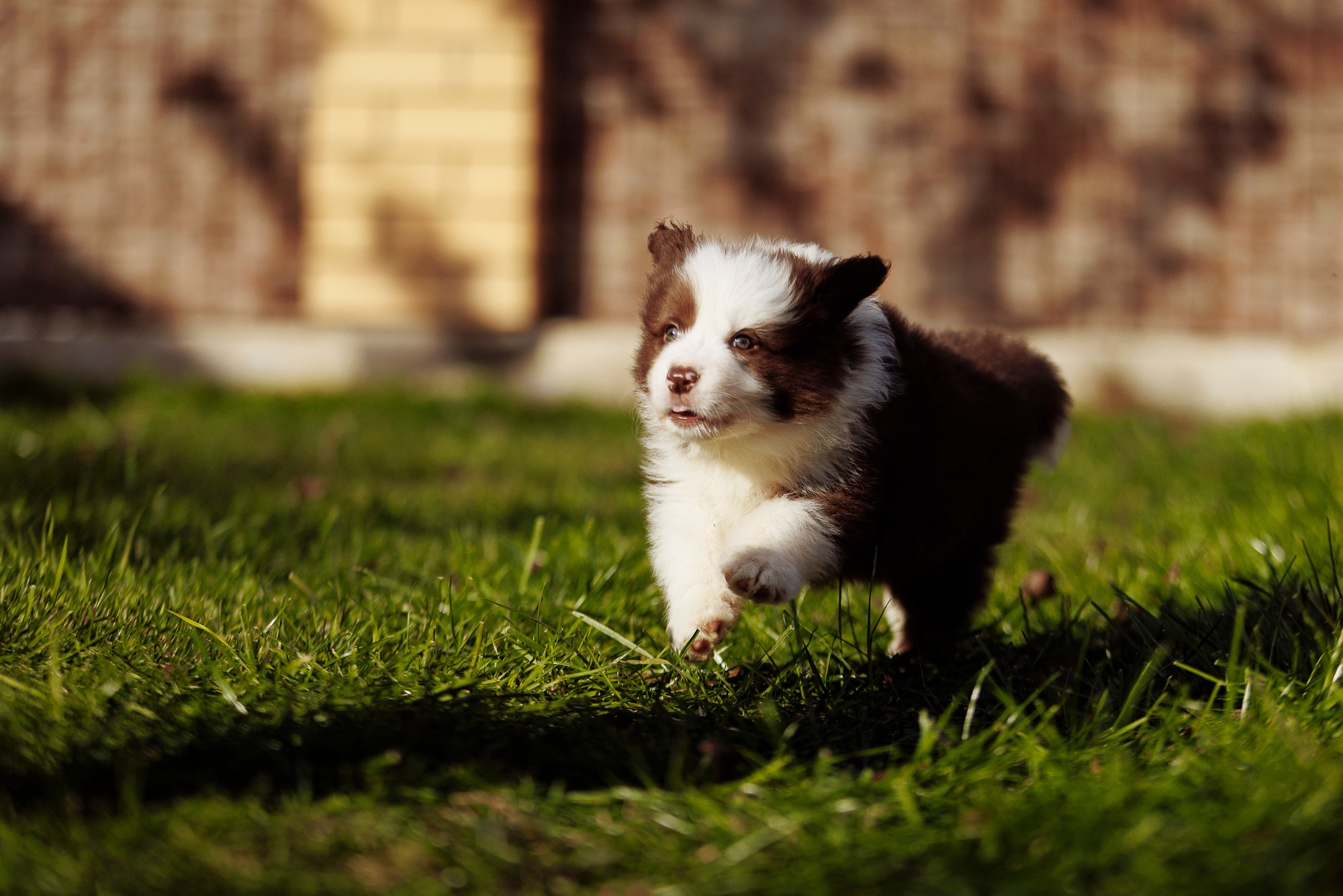 У дома с большой компанией от мала до велика. О нас