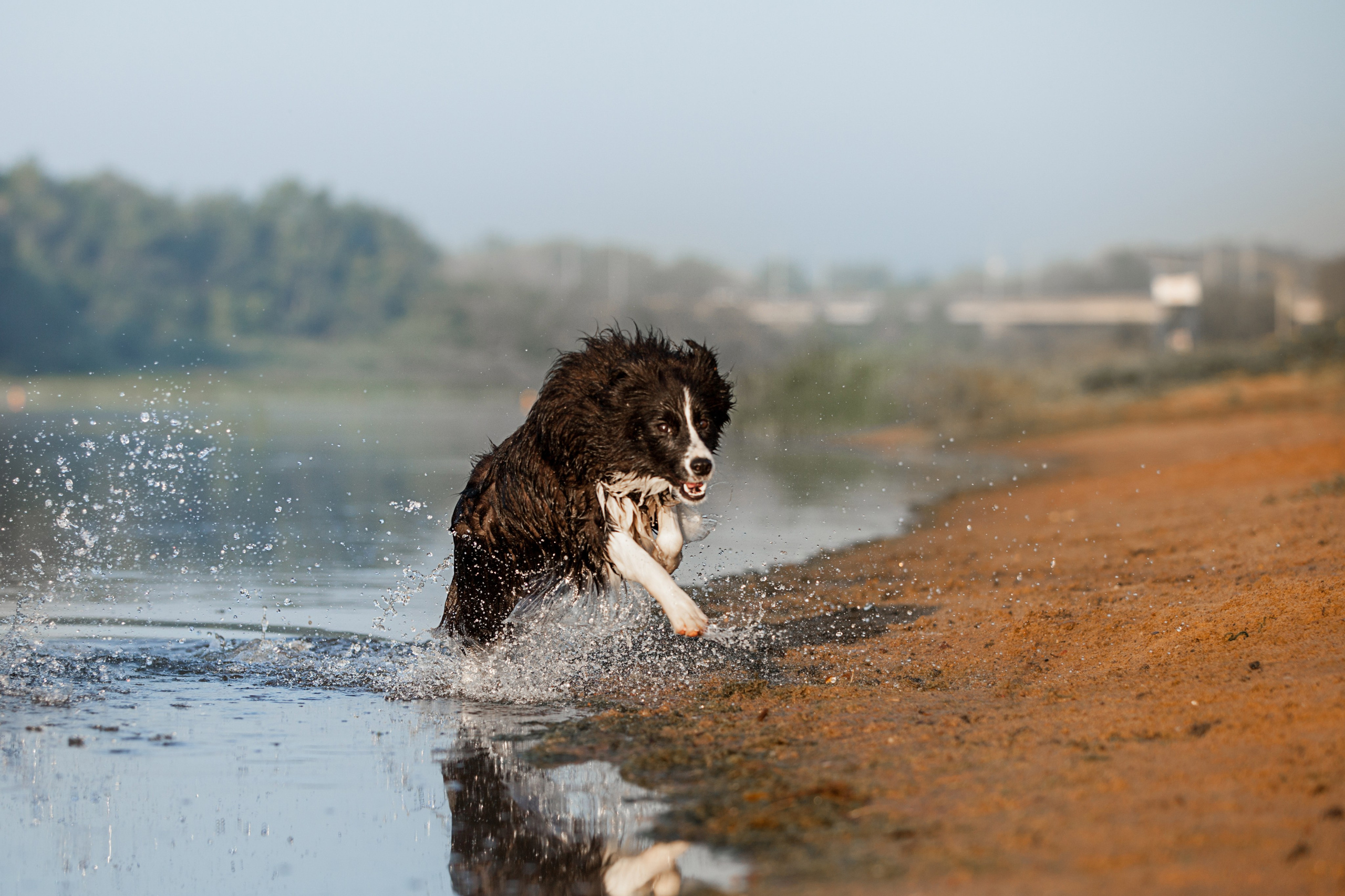 Сочный рассвет, на который решились. О нас