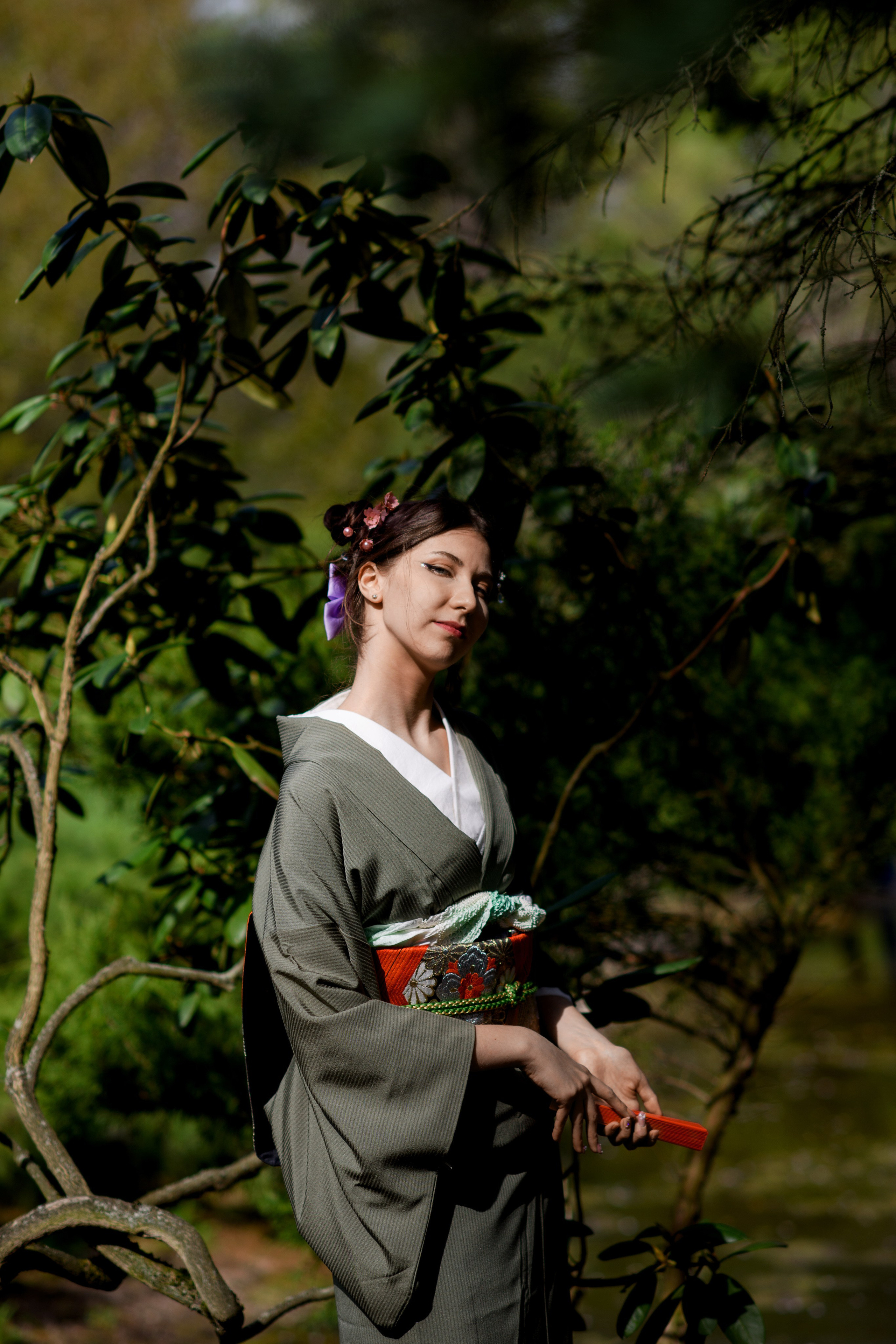 Любование цветением сакуры в Японском саду. Главная