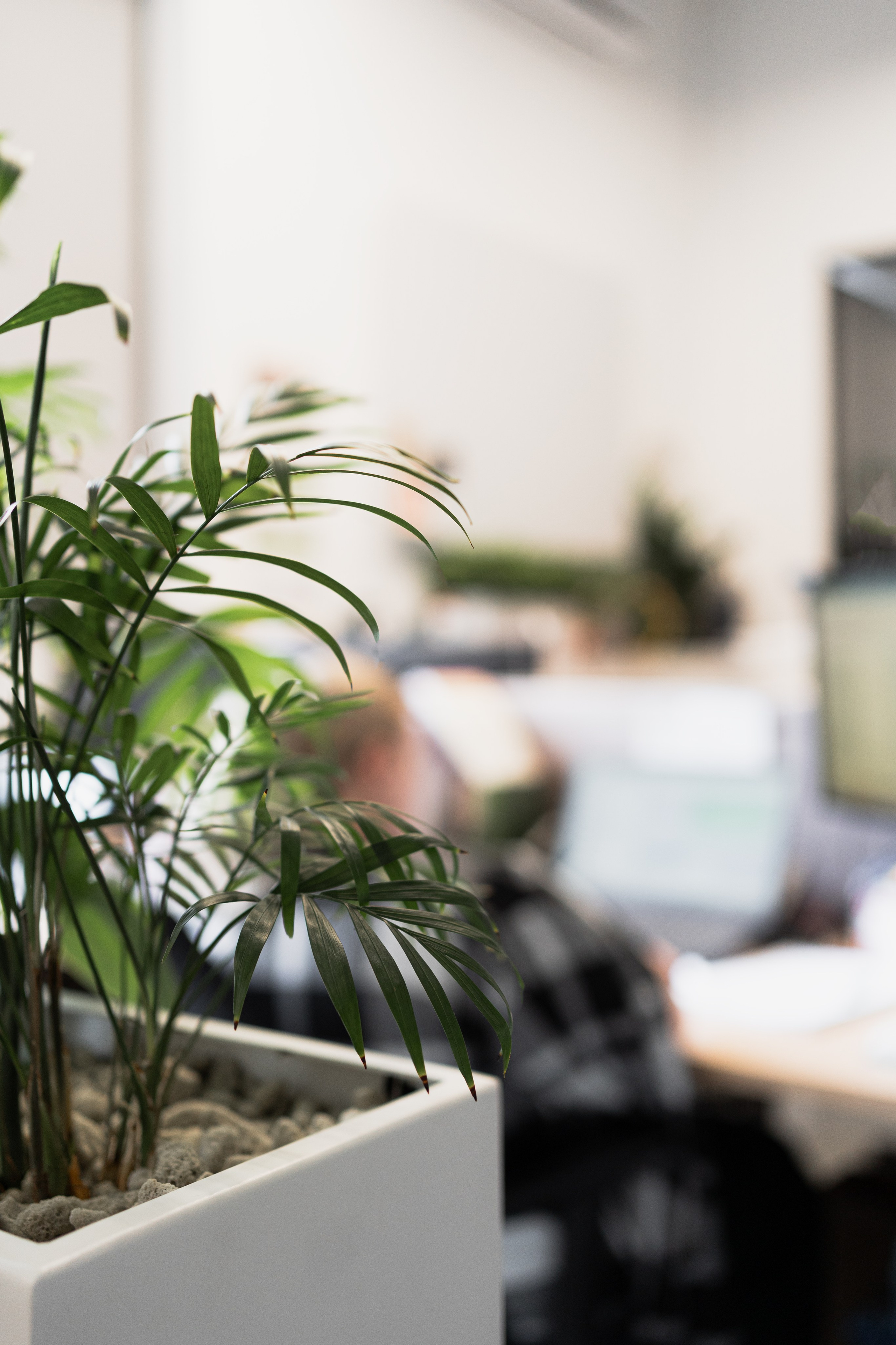 Terra. Елена Пашкевич, фотограф, Москва