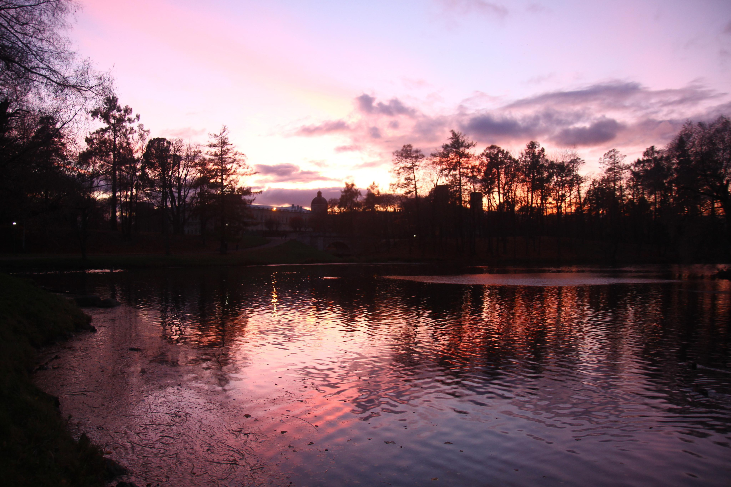Осенняя Гатчина. Фотохудожник Евгения Баженова