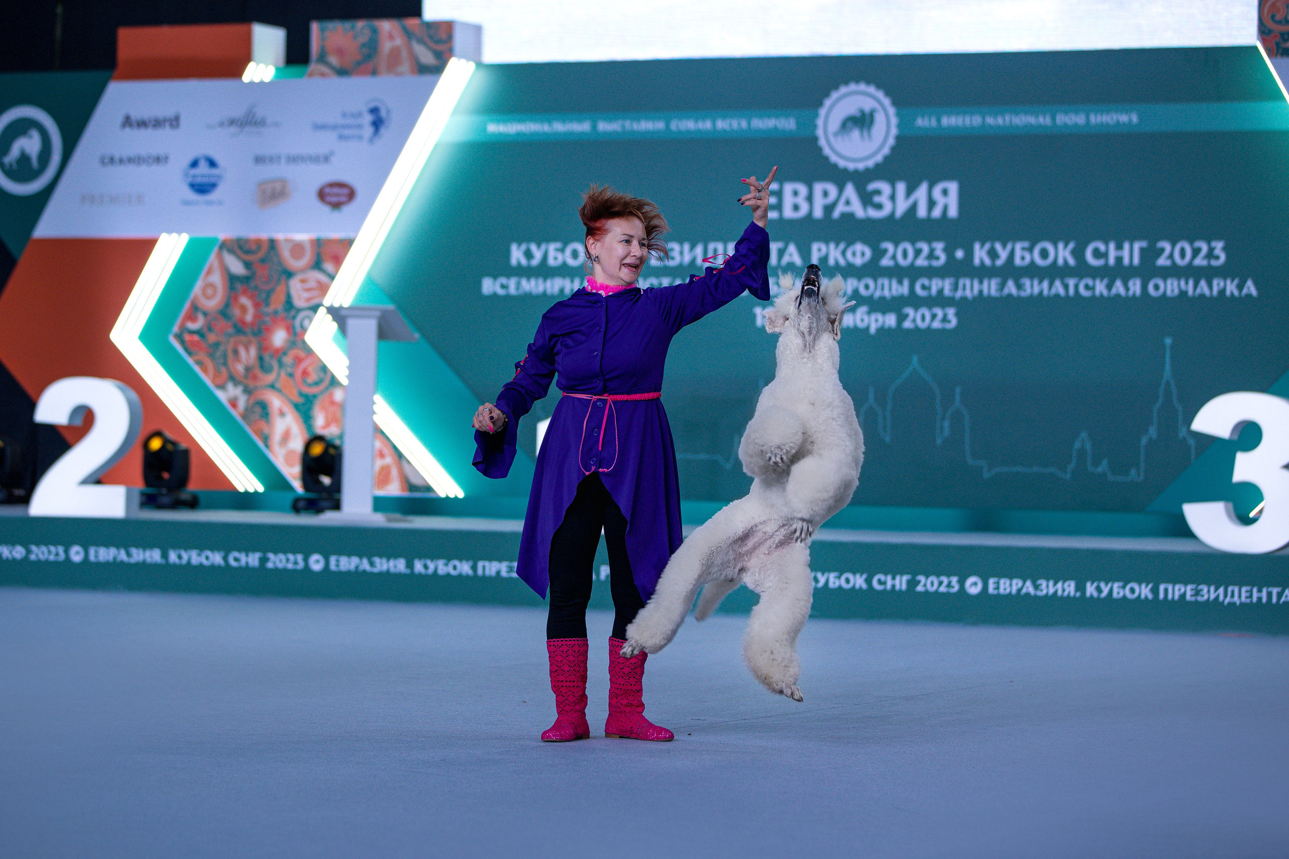 Выставки. Фотограф анималист в Москве Майорова Евгения