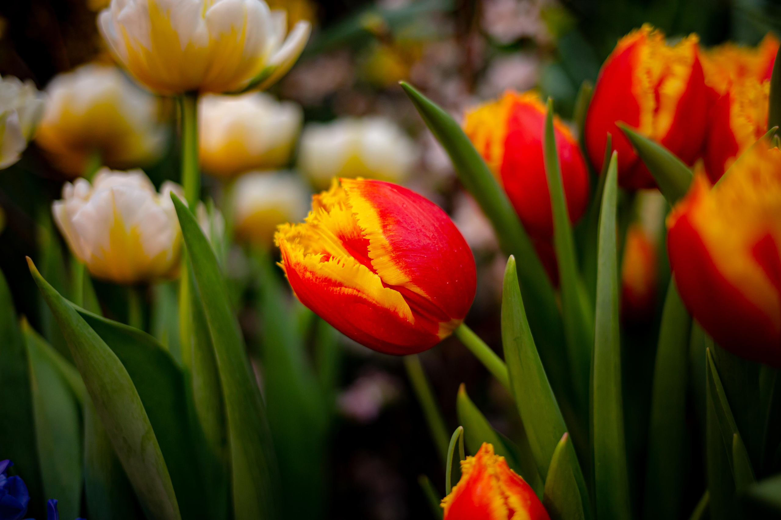 Выставка «Репетиция весны». Photographer Sonkina Tatiana (Tanya Ash)