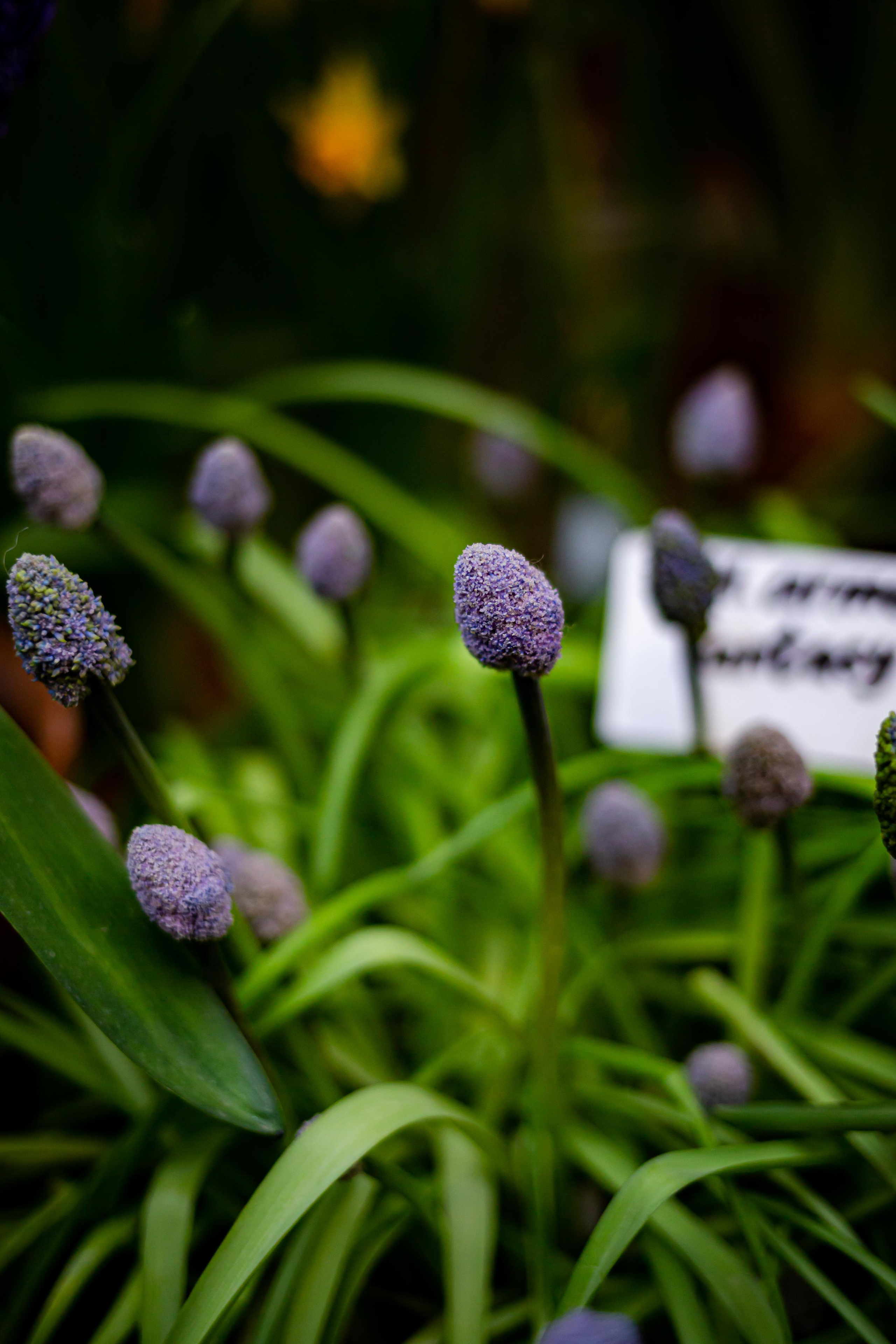 Выставка «Репетиция весны». Photographer Sonkina Tatiana (Tanya Ash)