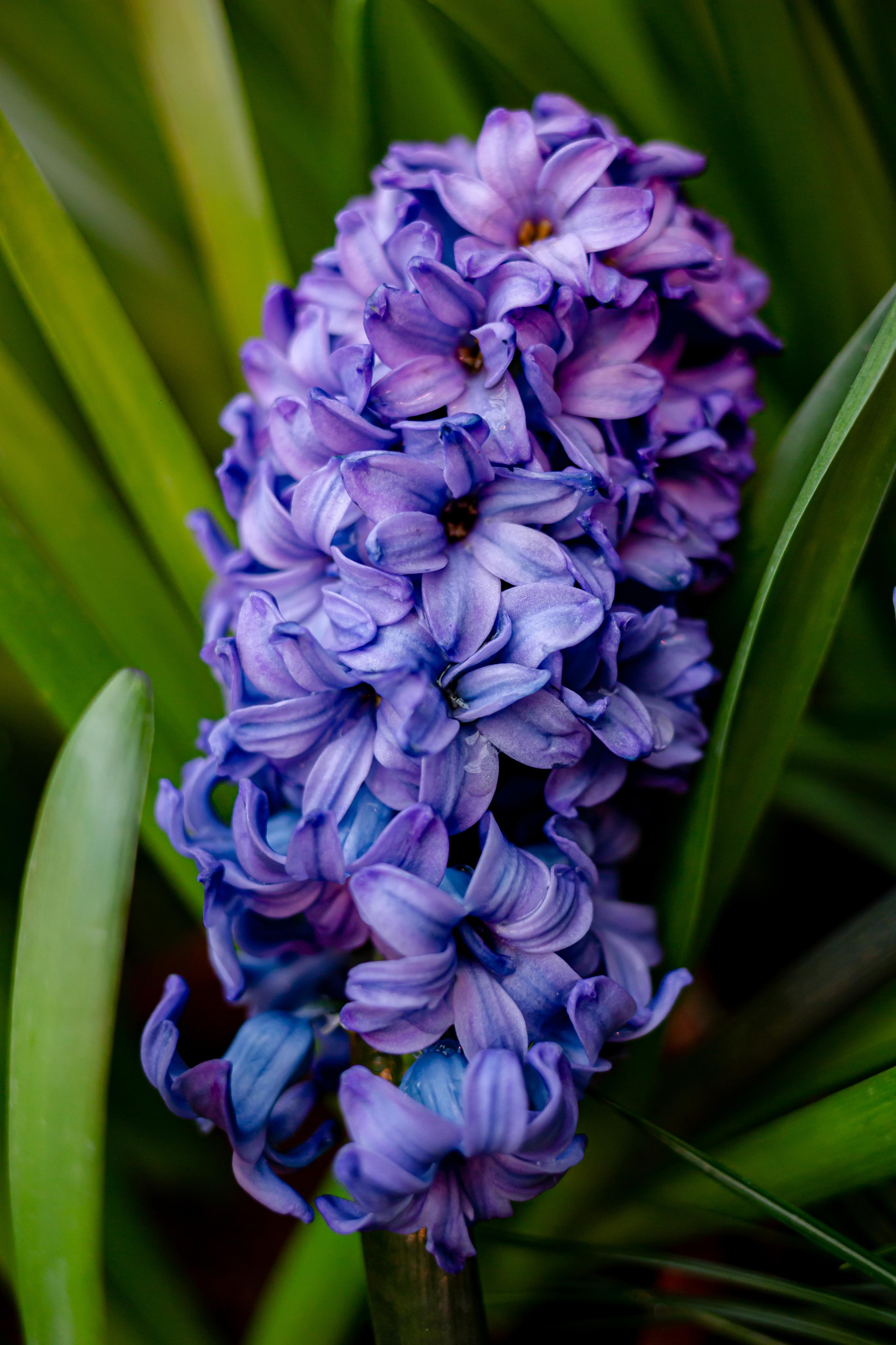 Выставка «Репетиция весны». Photographer Sonkina Tatiana (Tanya Ash)