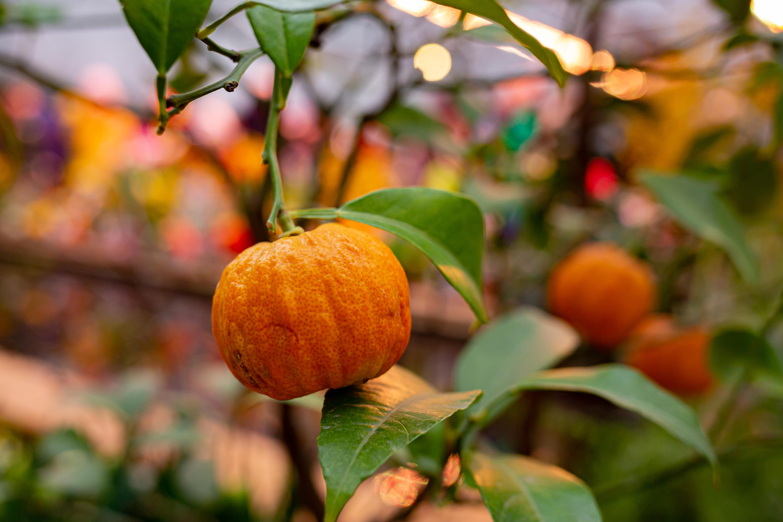 Выставка «Репетиция весны». Photographer Sonkina Tatiana (Tanya Ash)