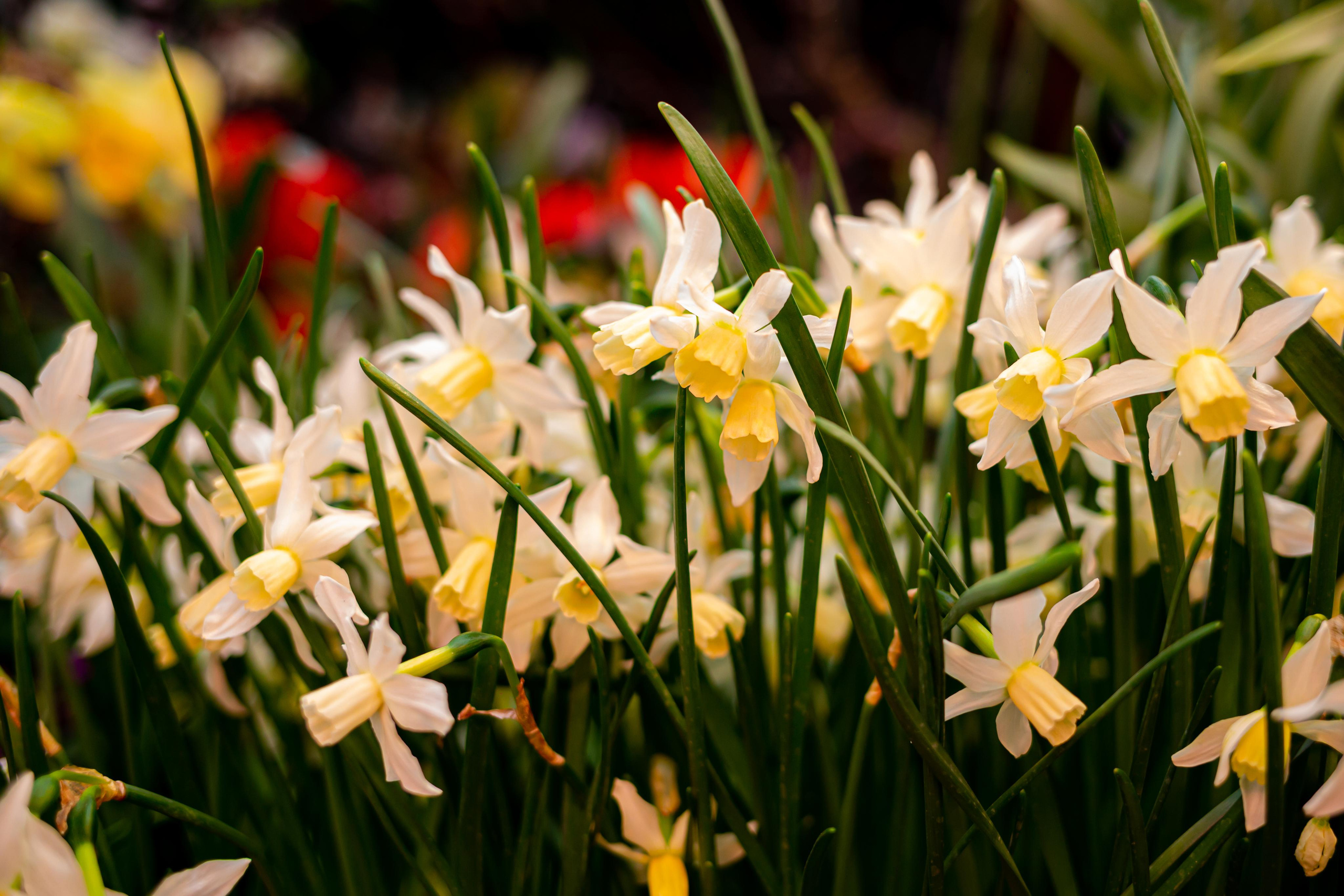 Выставка «Репетиция весны». Photographer Sonkina Tatiana (Tanya Ash)
