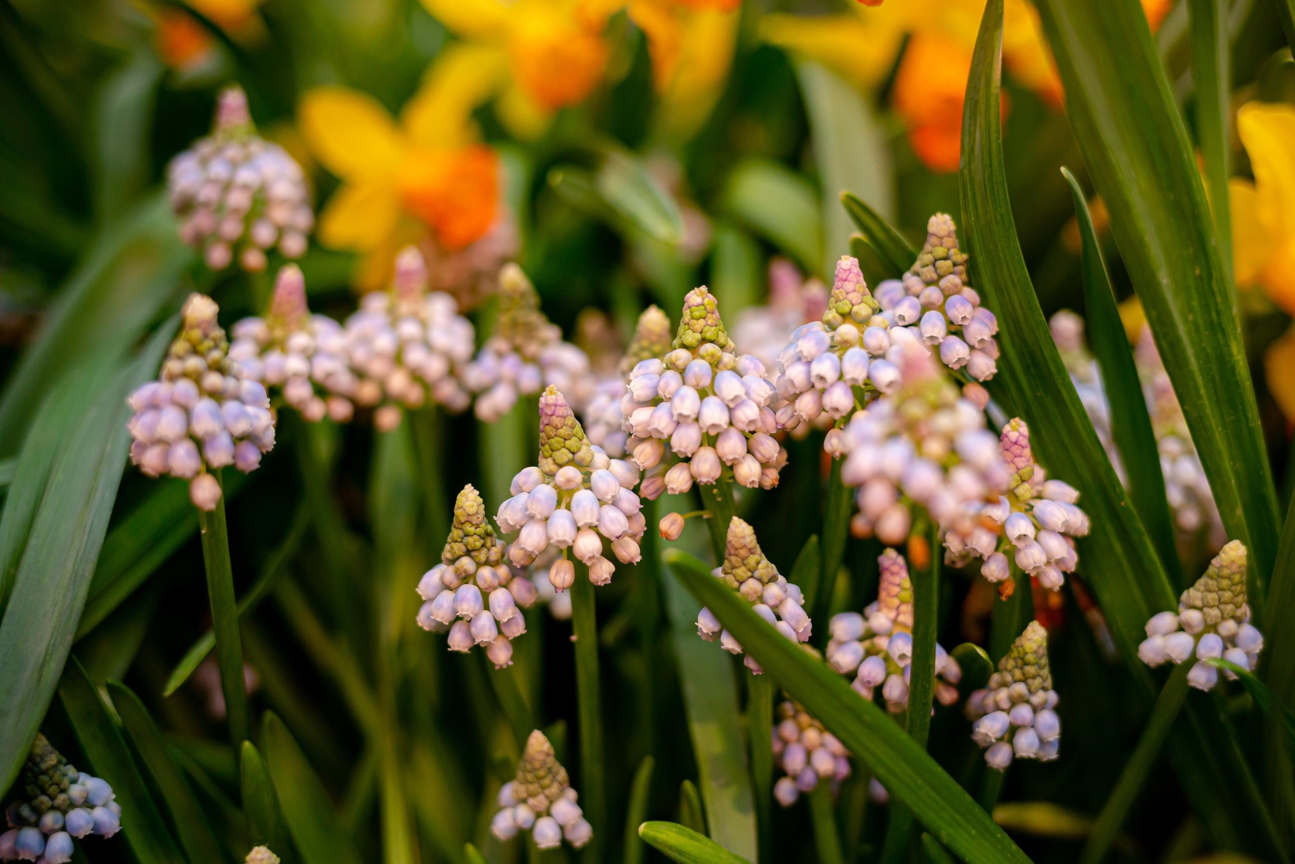 Выставка «Репетиция весны». Photographer Sonkina Tatiana (Tanya Ash)