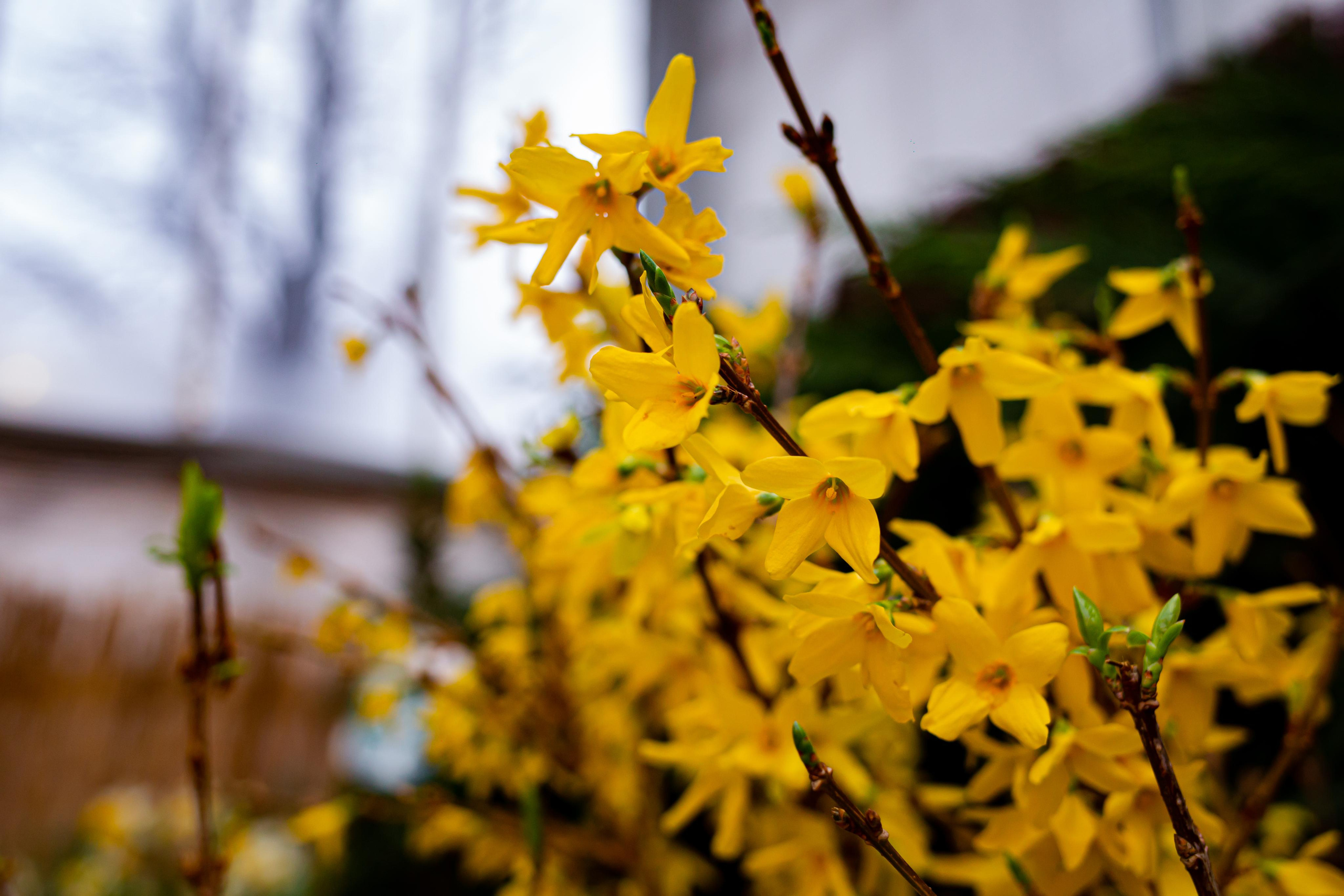Выставка «Репетиция весны». Photographer Sonkina Tatiana (Tanya Ash)