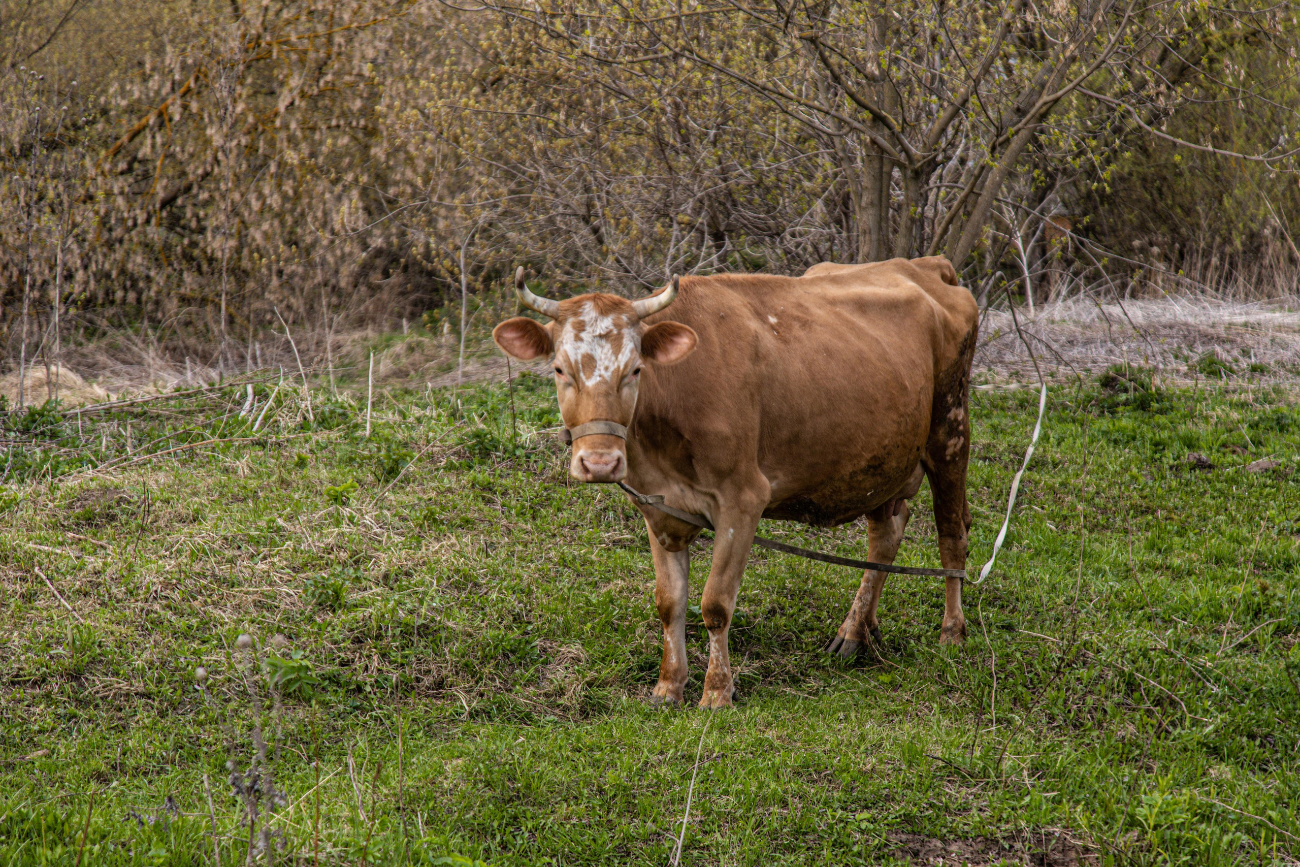 Серпухов. Photographer Sonkina Tatiana (Tanya Ash)