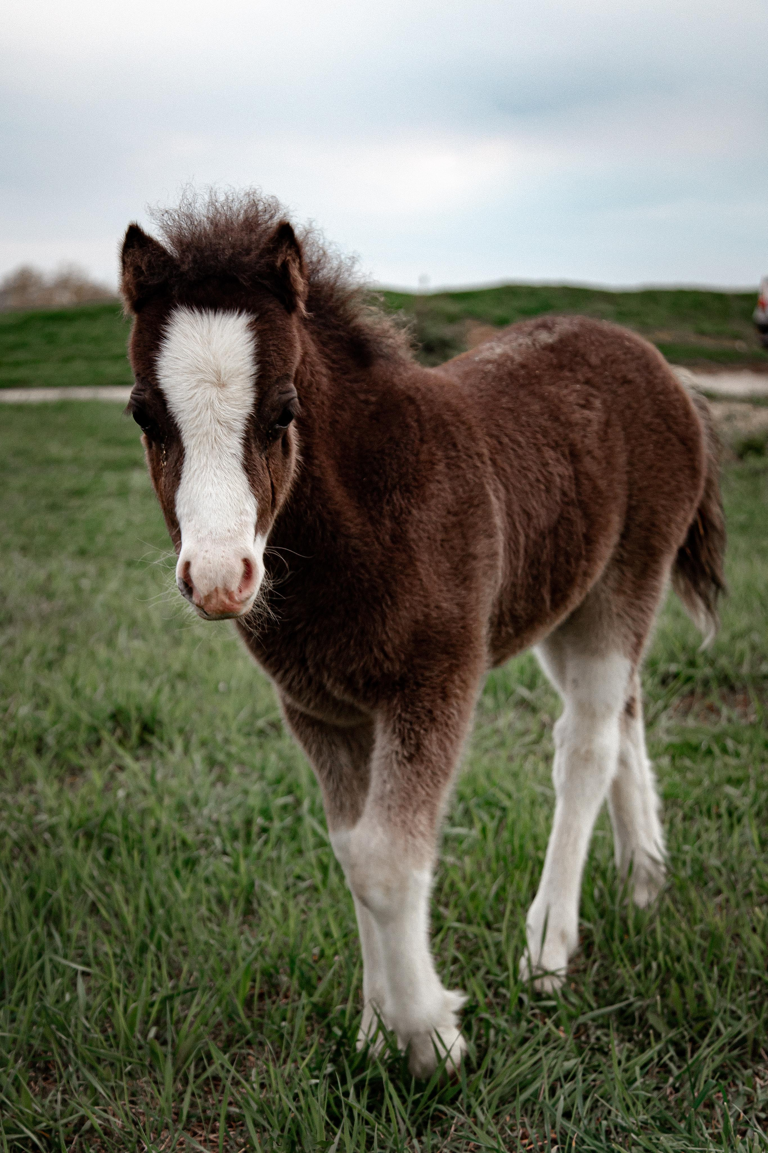 Серпухов. Photographer Sonkina Tatiana (Tanya Ash)