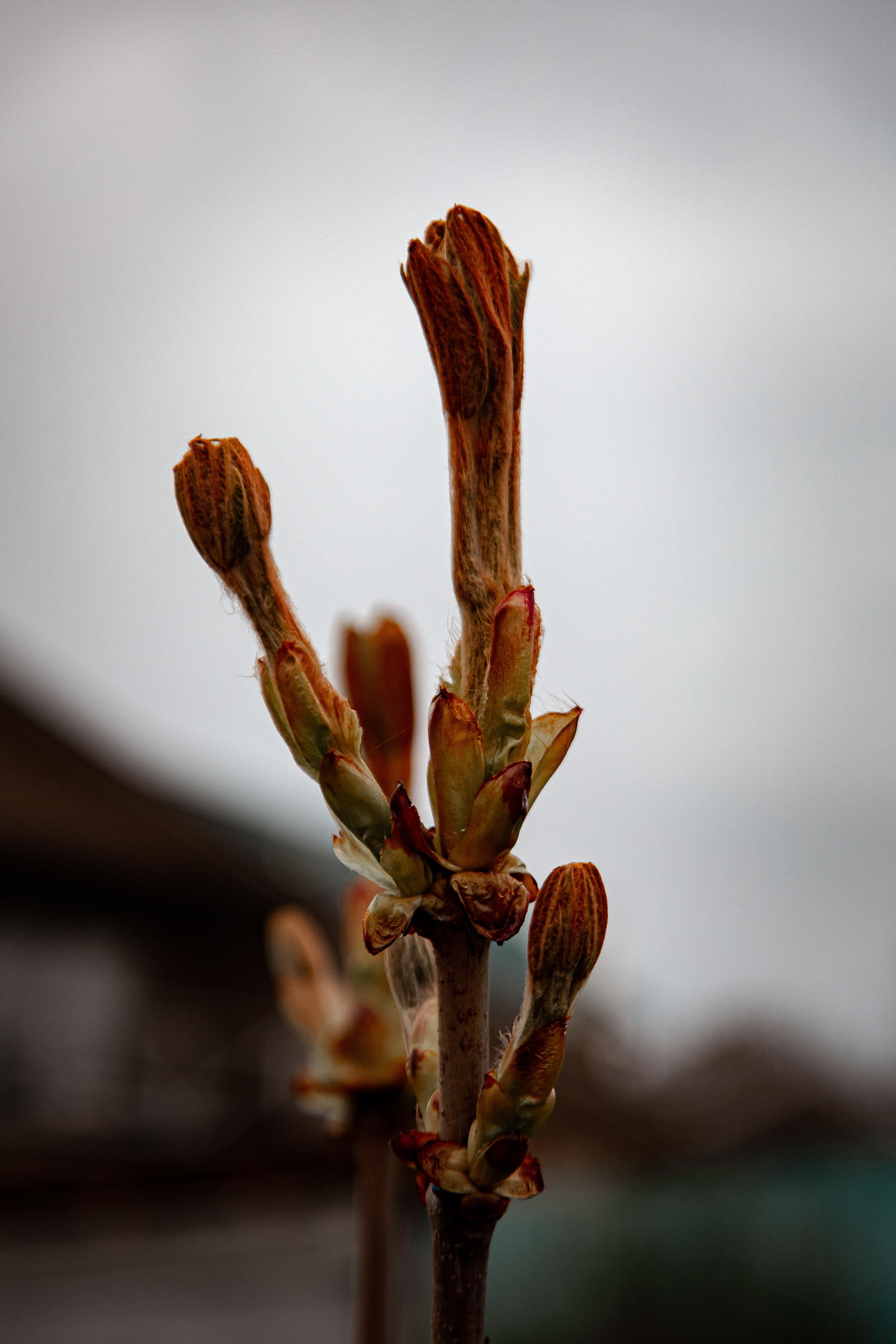 Серпухов. Photographer Sonkina Tatiana (Tanya Ash)