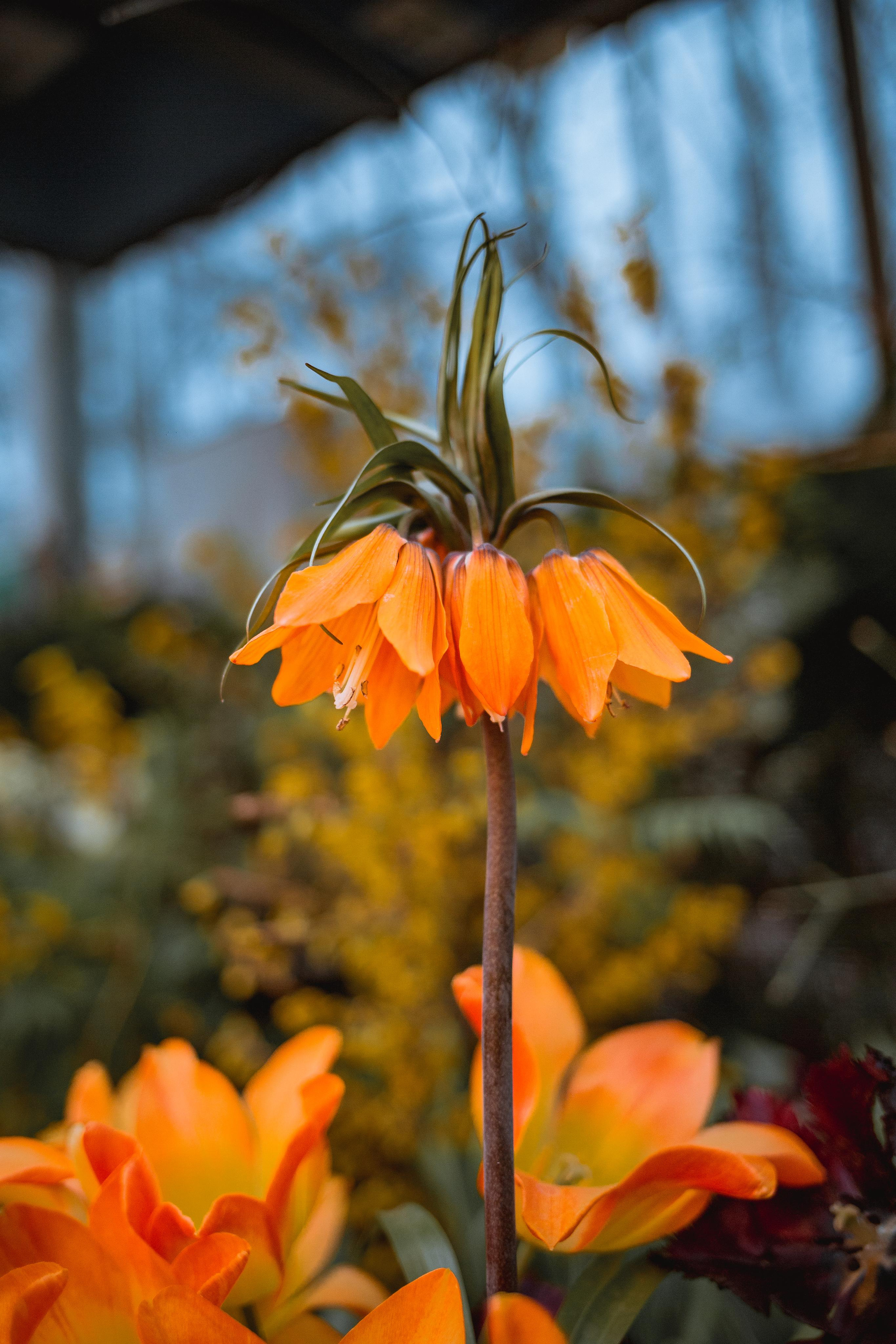 Выставка «Репетиция весны». Photographer Sonkina Tatiana (Tanya Ash)