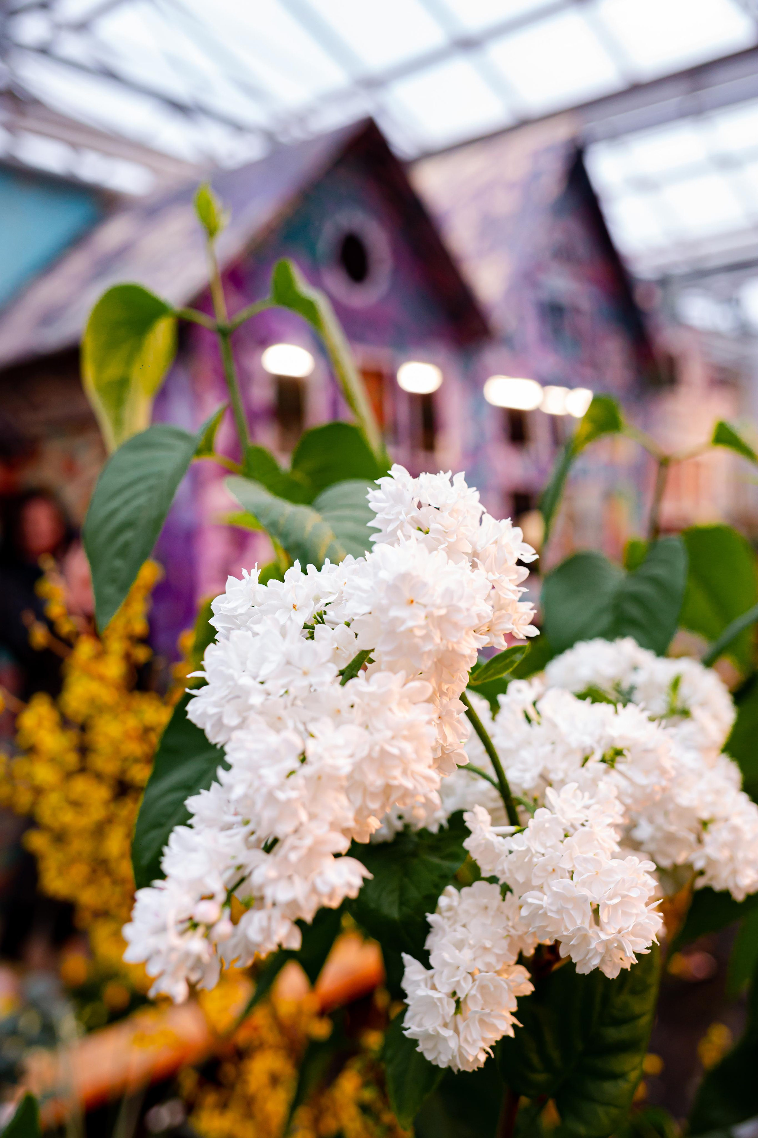 Выставка «Репетиция весны». Photographer Sonkina Tatiana (Tanya Ash)