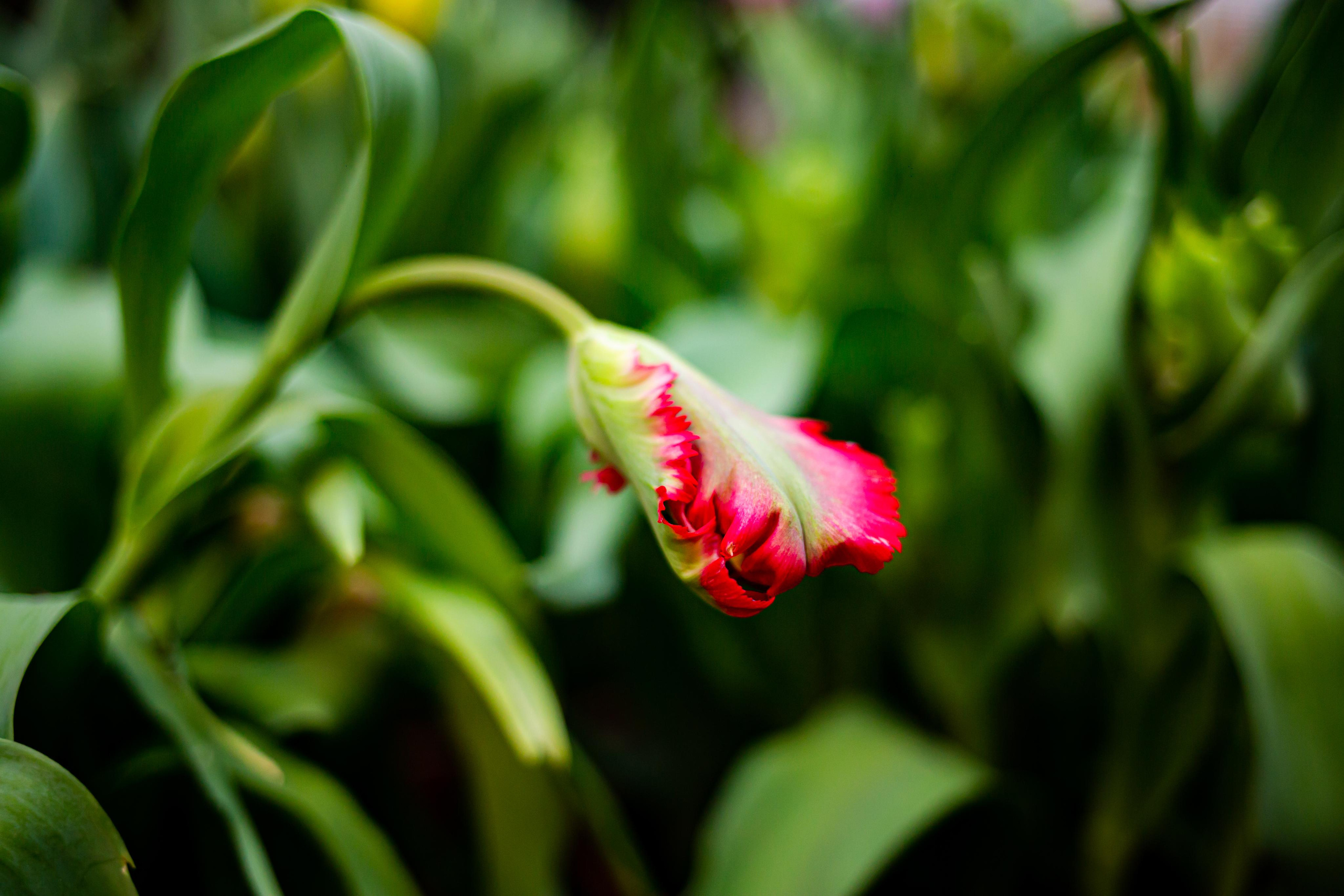 Выставка «Репетиция весны». Photographer Sonkina Tatiana (Tanya Ash)
