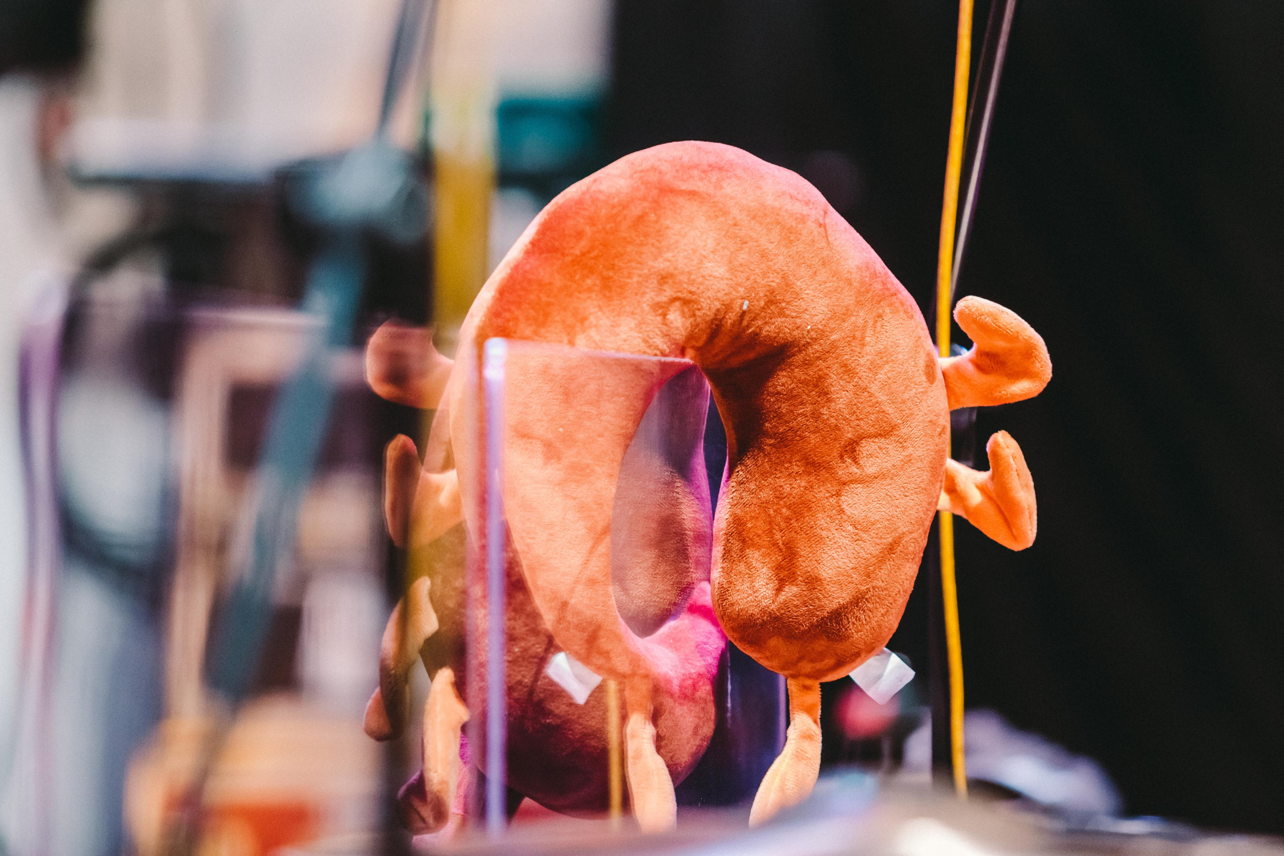 БРИГАДНЫЙ ПОДРЯД. Фотограф Сонкина Татьяна