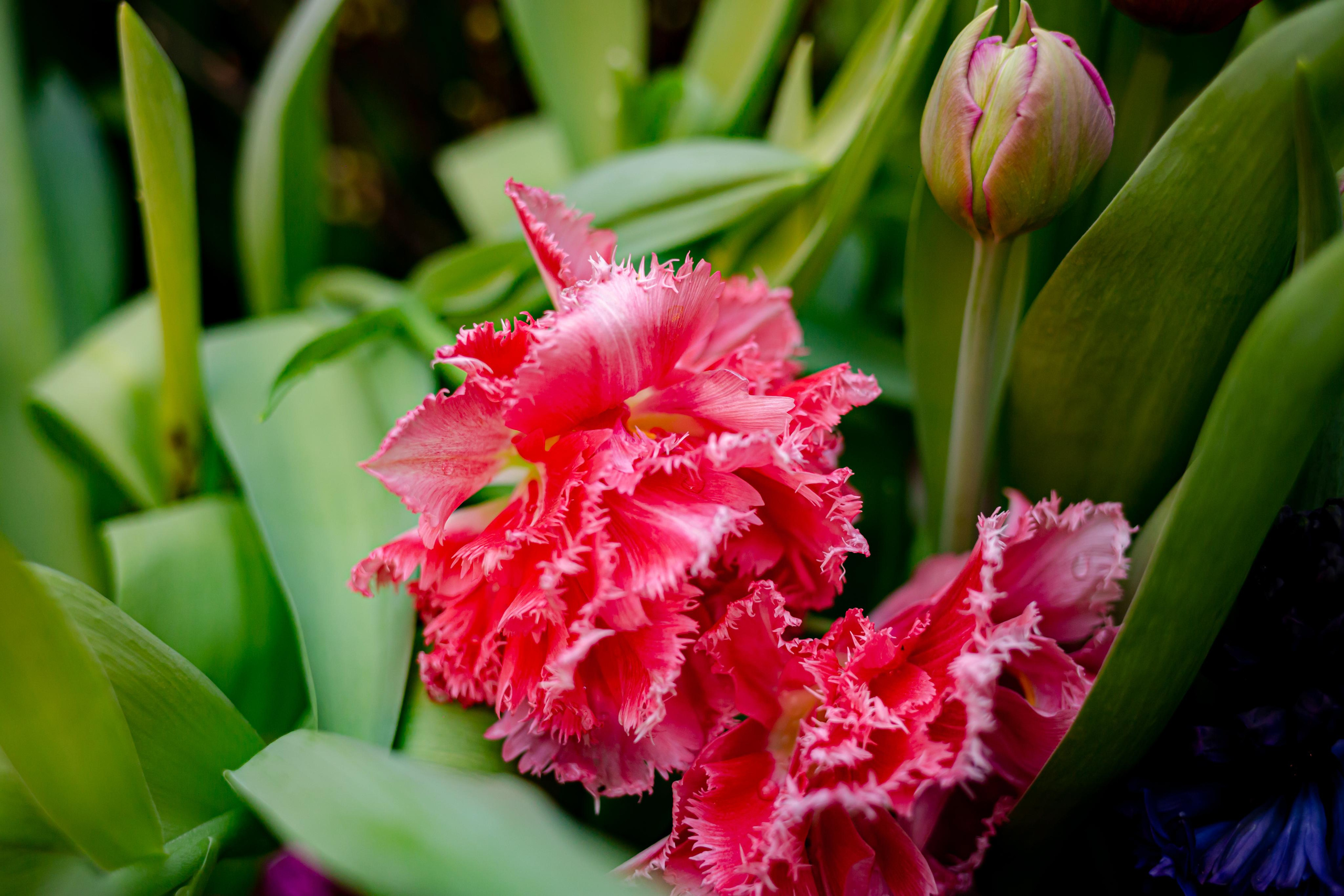 Выставка «Репетиция весны». Photographer Sonkina Tatiana (Tanya Ash)